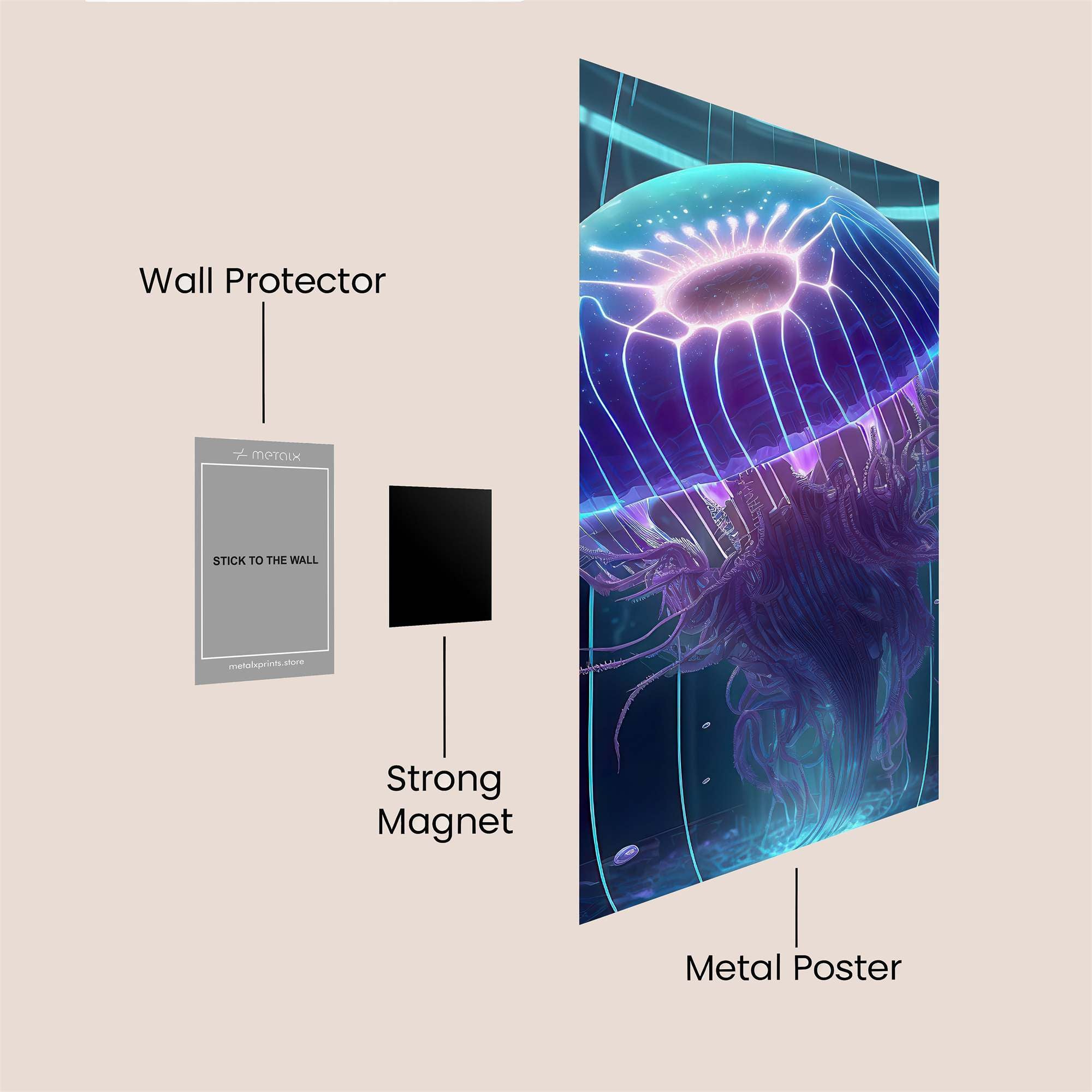 Jelly Dream Safe Wall Magnetic / M