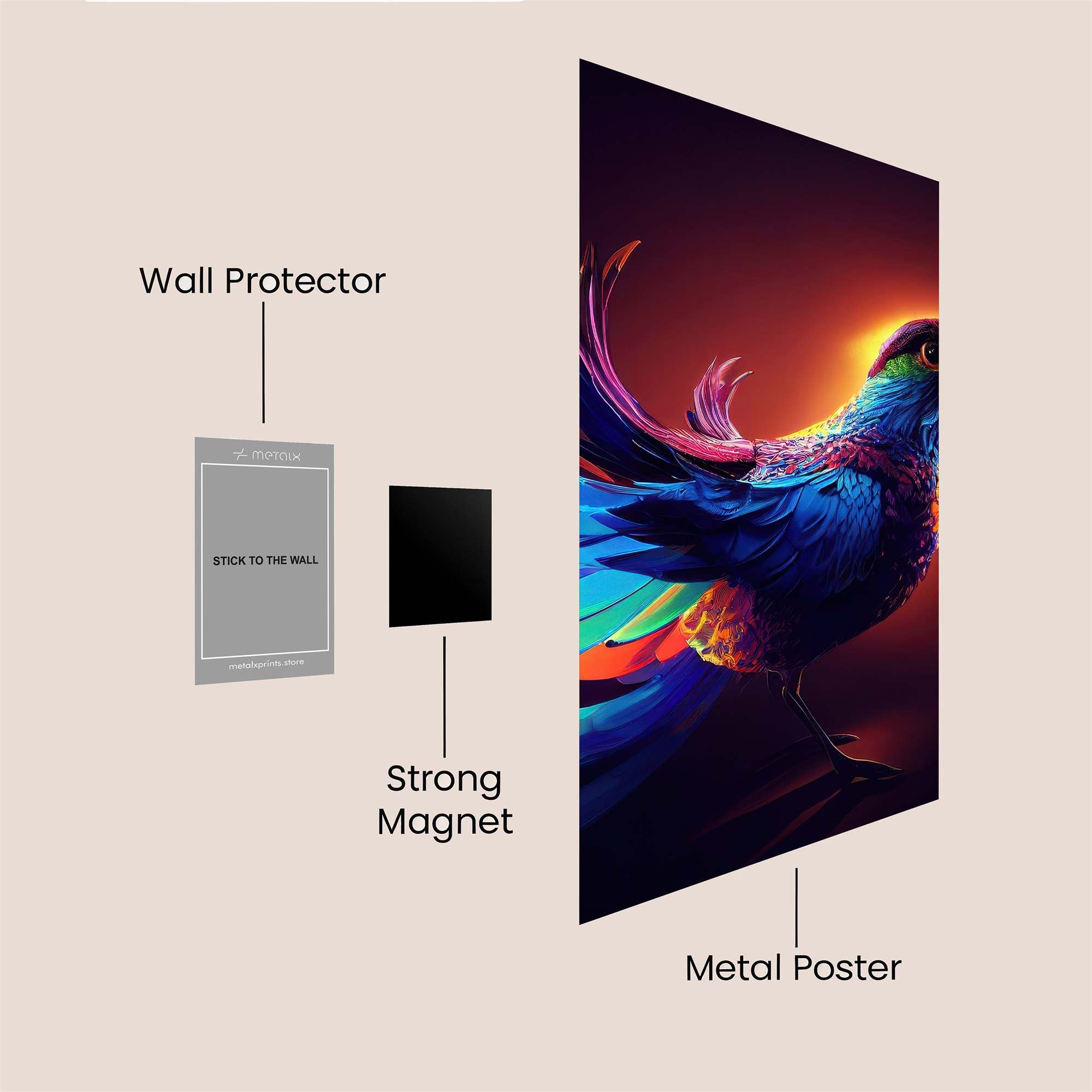 Cotinga Radiance Safe Wall Magnetic / M