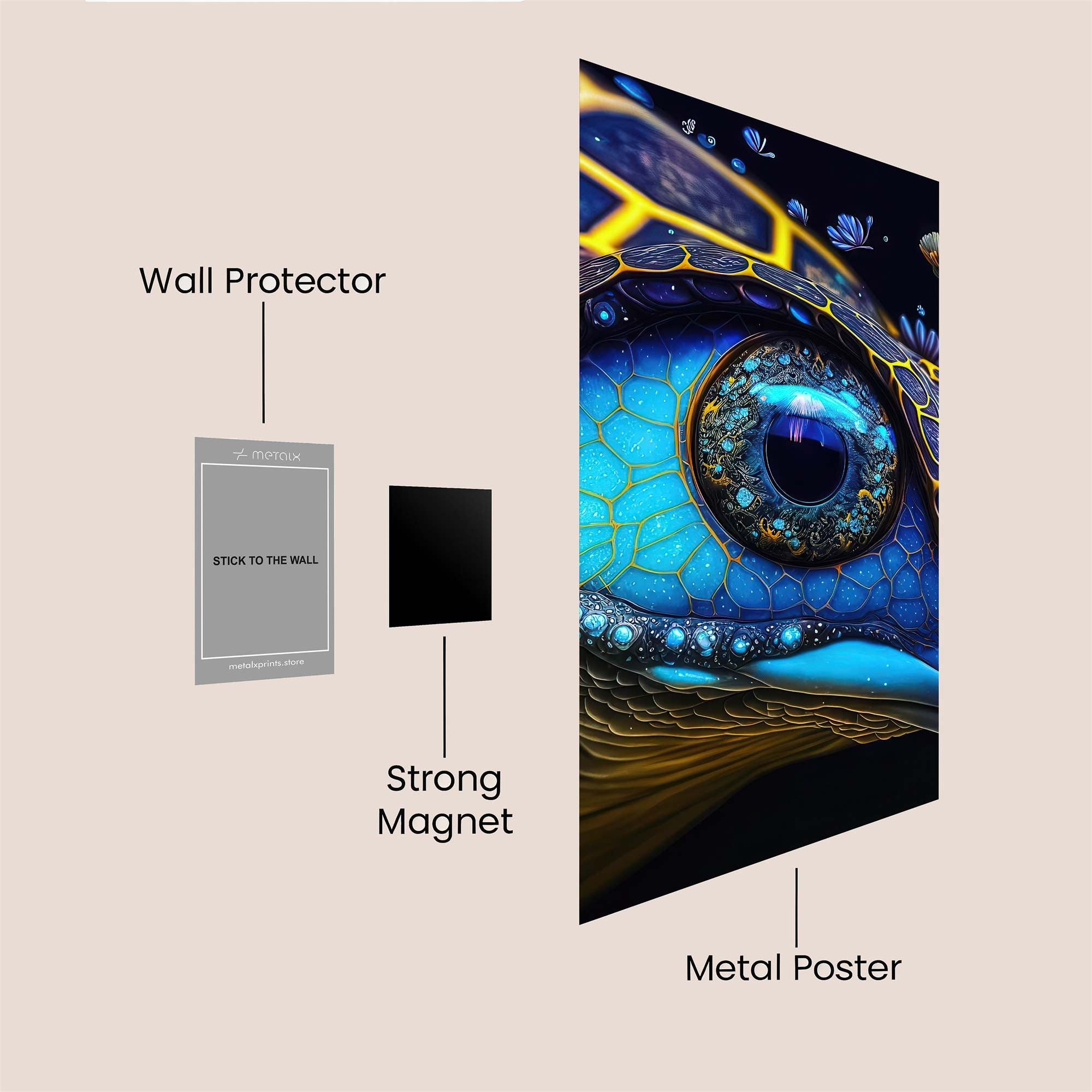 Turtle Dream Safe Wall Magnetic / M