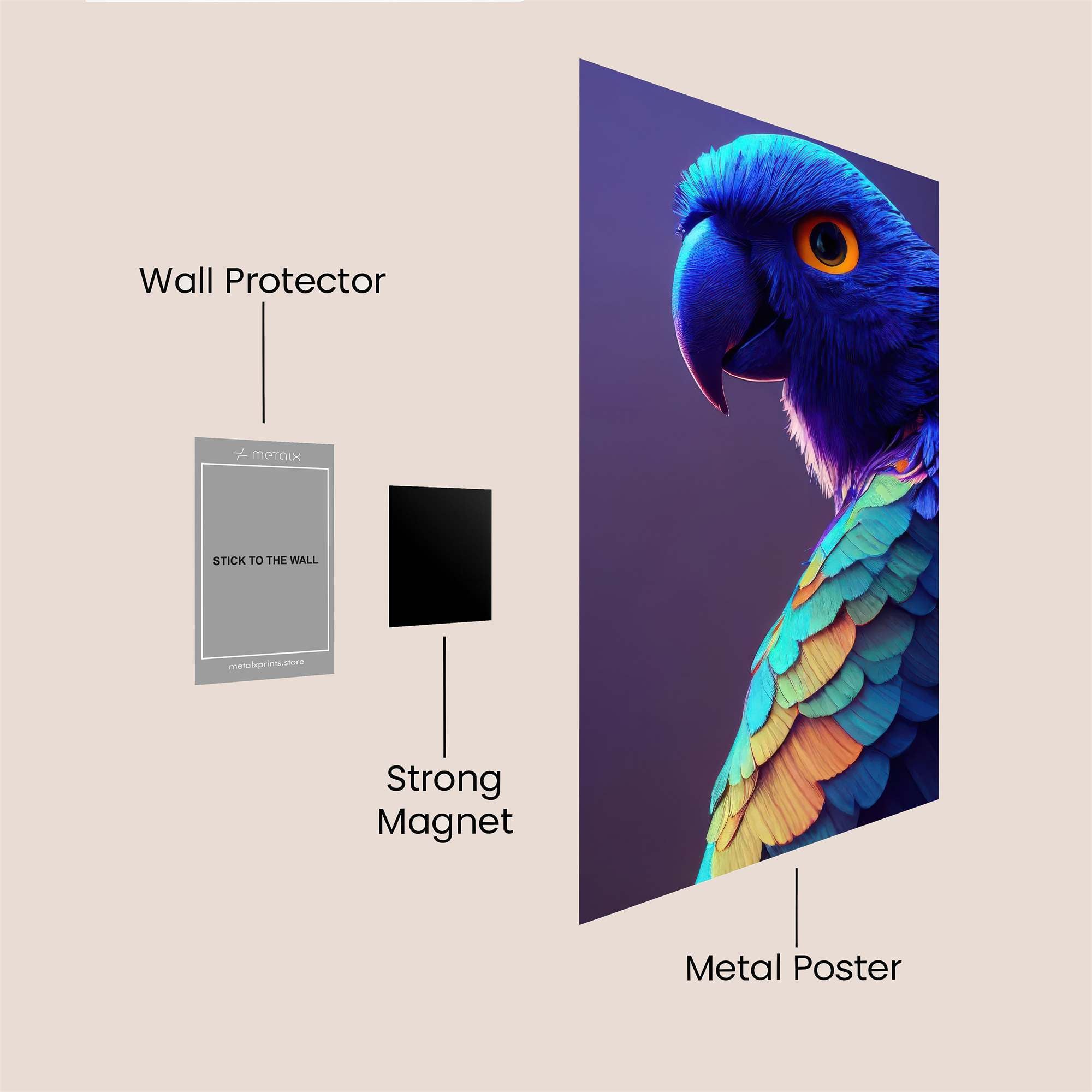 Macaw Majestic Safe Wall Magnetic / M