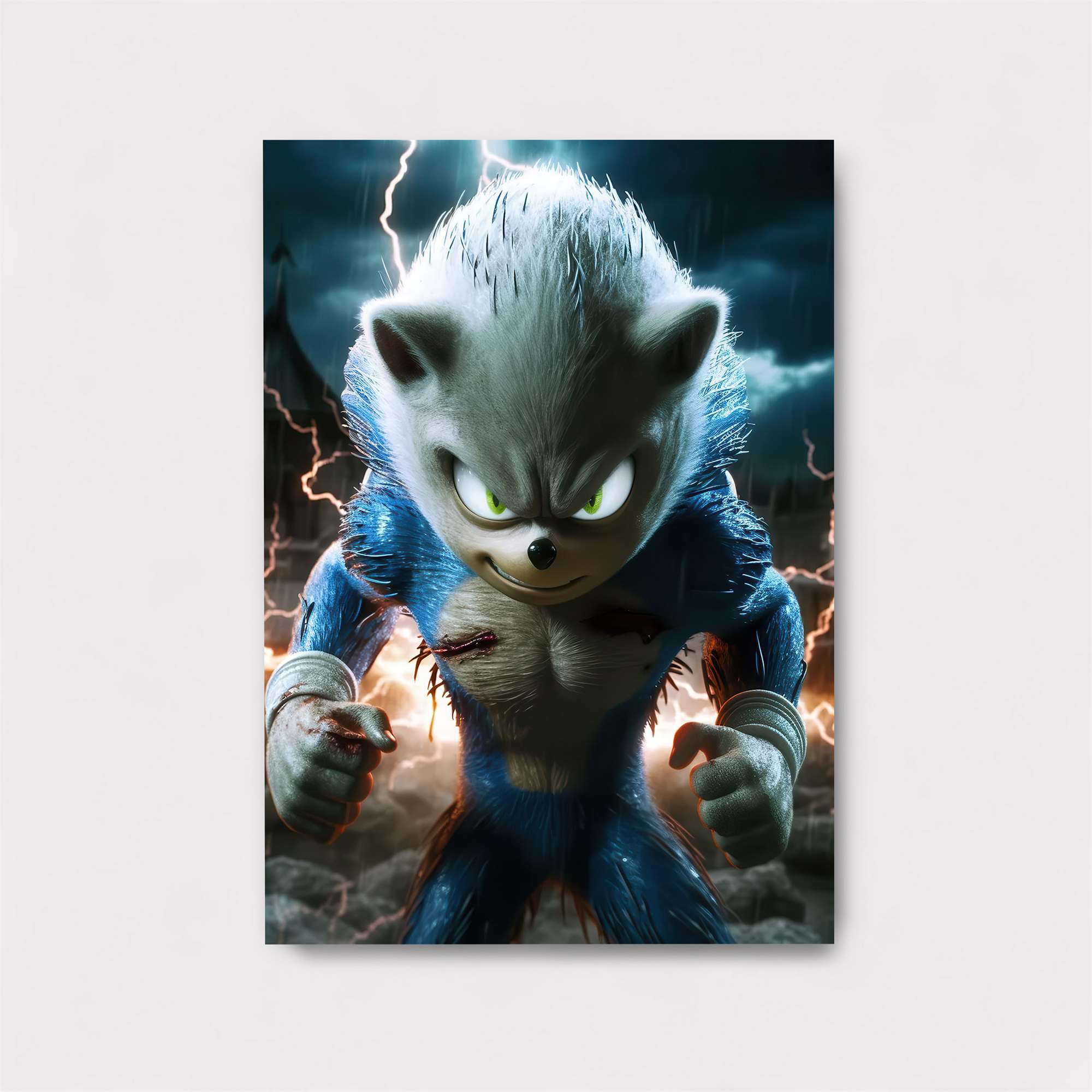 Sonic Ferocious Safe Wall Magnetic / M