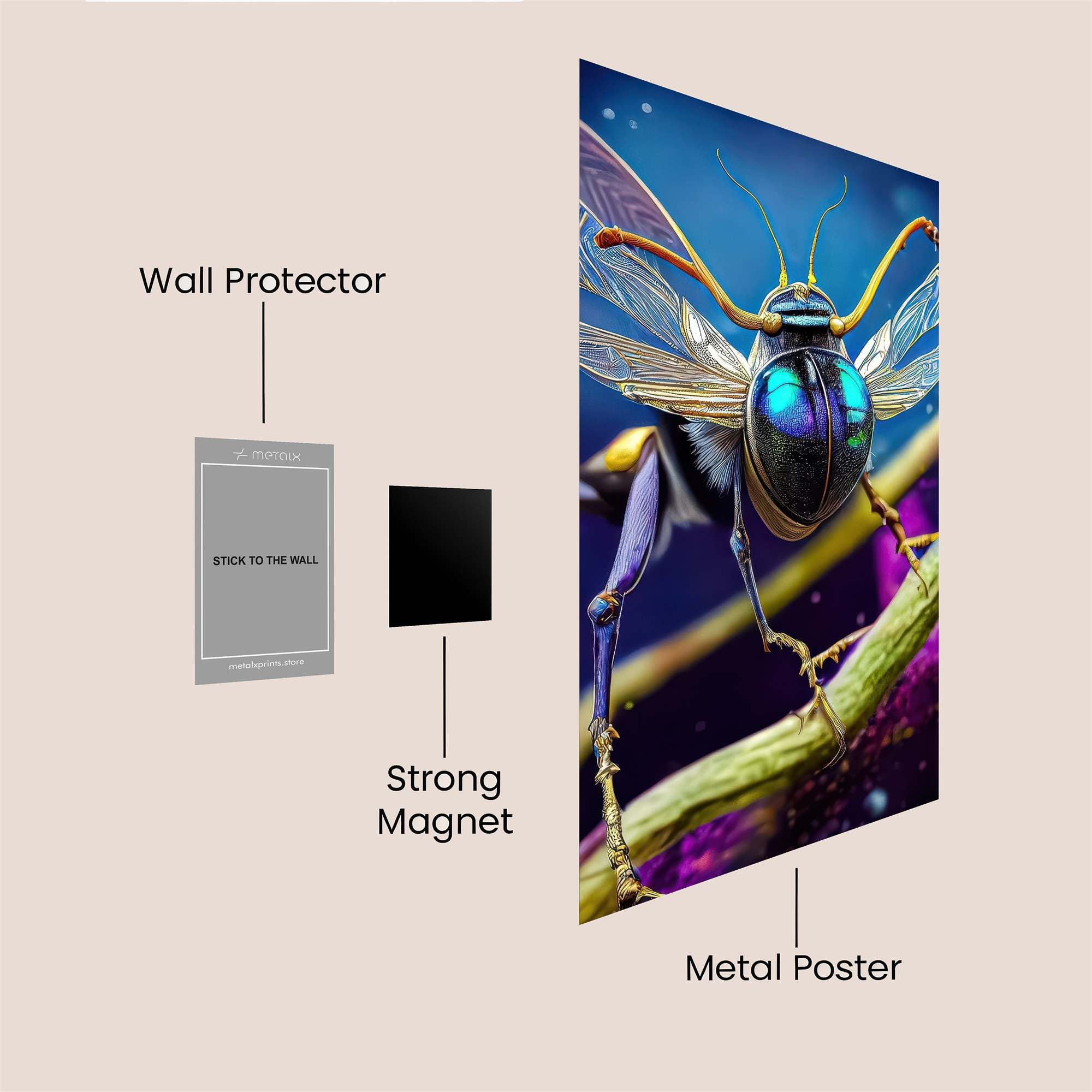 Beetle Whimsy Safe Wall Magnetic / M