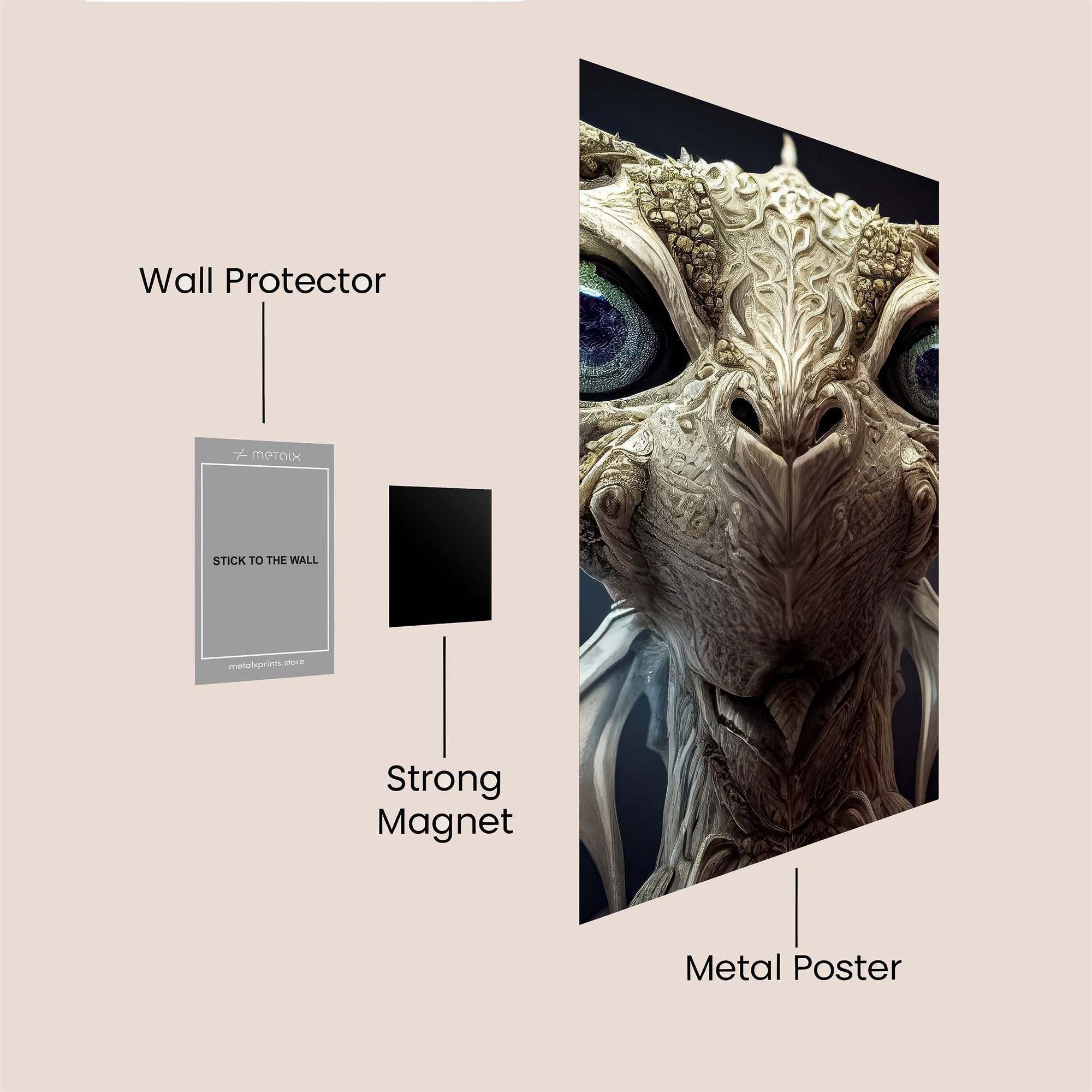 Dragon Wonder Safe Wall Magnetic / M