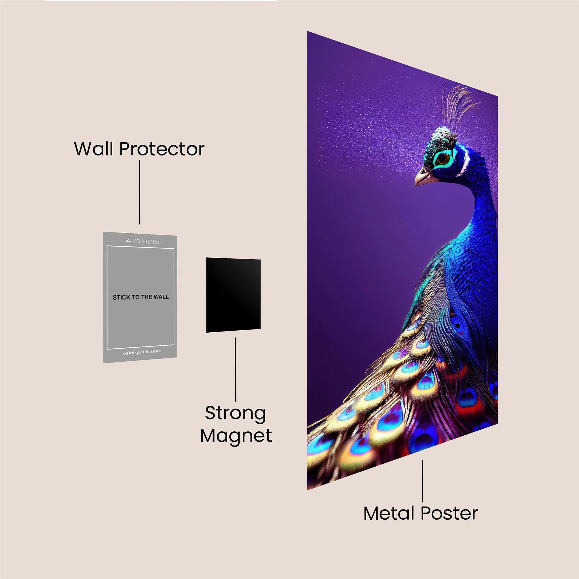 Peacock Radiant Safe Wall Magnetic / M