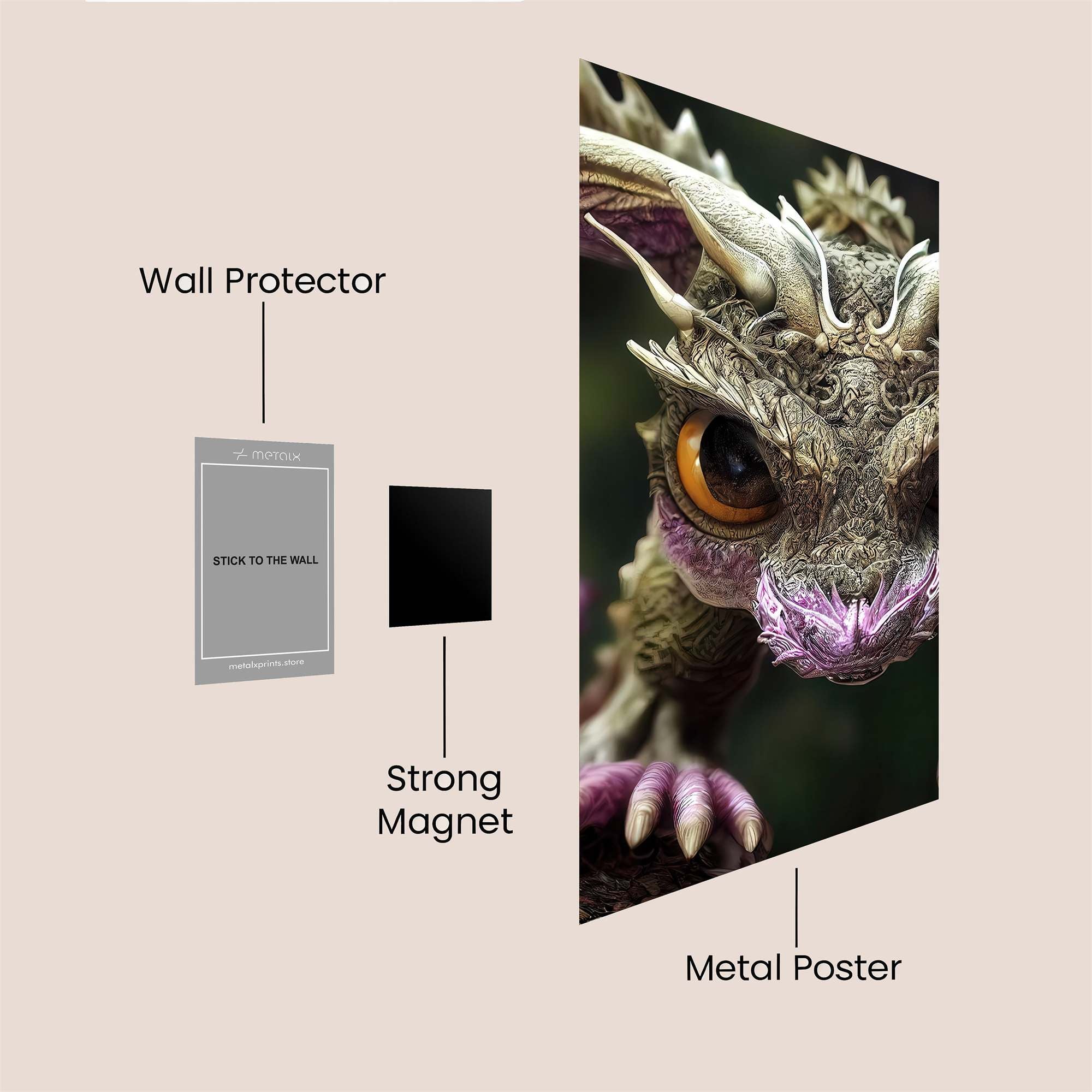 Dragon Whimsy Safe Wall Magnetic / M