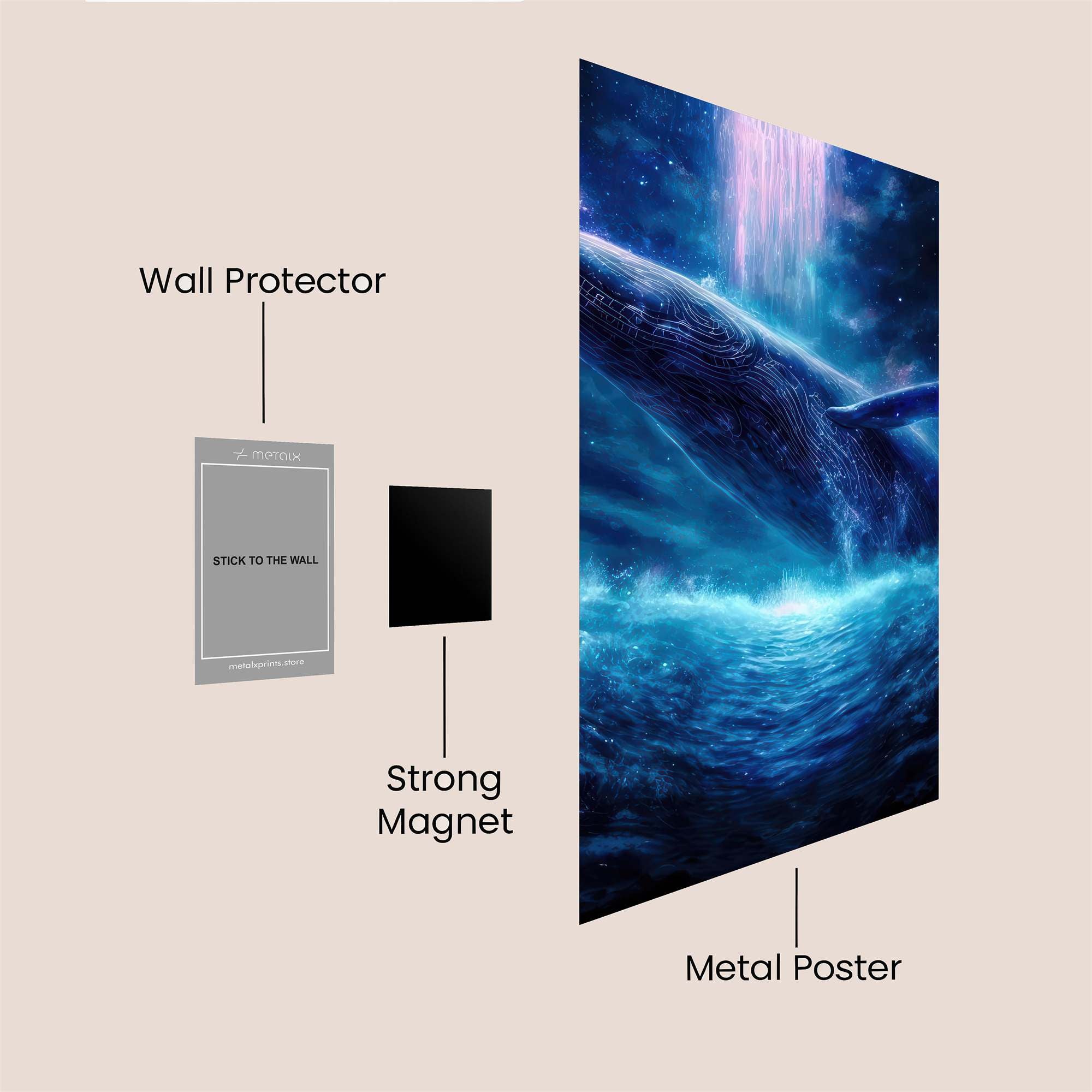 Whale Cosmic Safe Wall Magnetic / M
