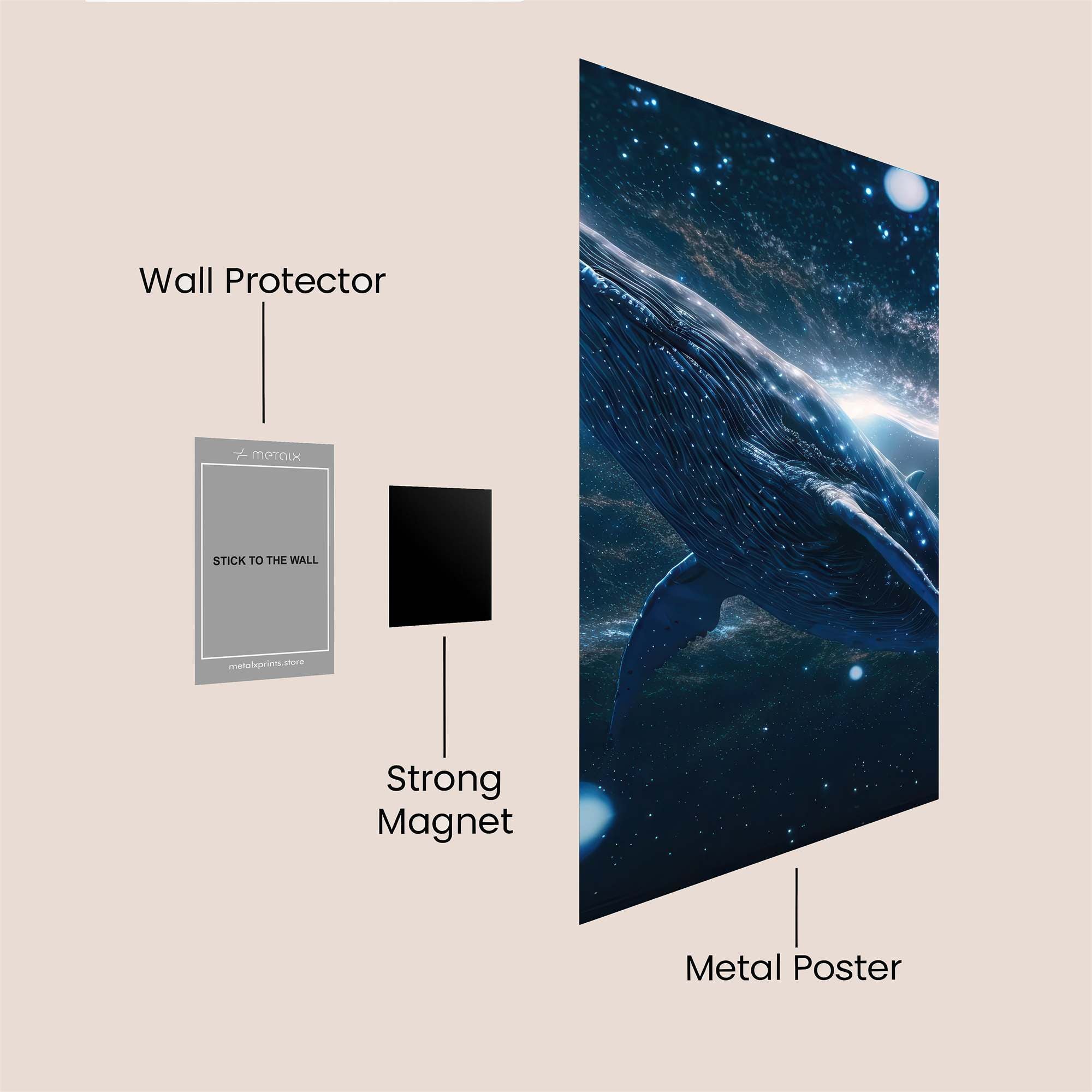 Whale Cosmic Safe Wall Magnetic / M