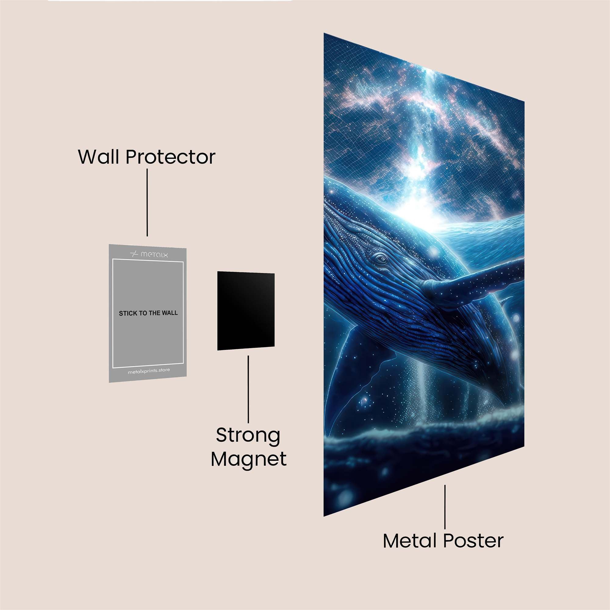 Whale Celestial Safe Wall Magnetic / M