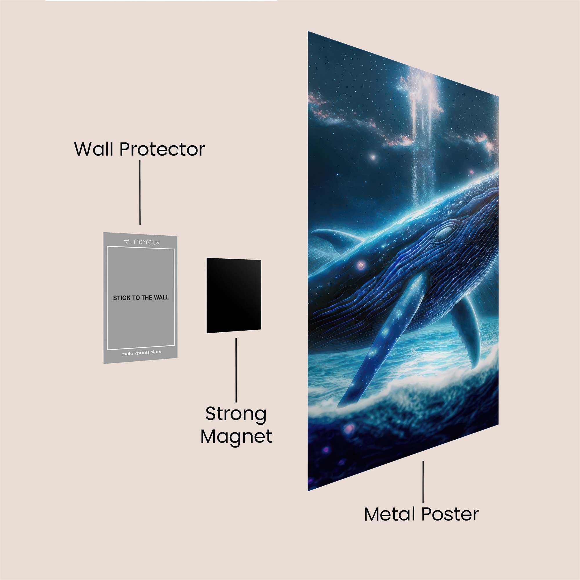 Whale Celestial Safe Wall Magnetic / M