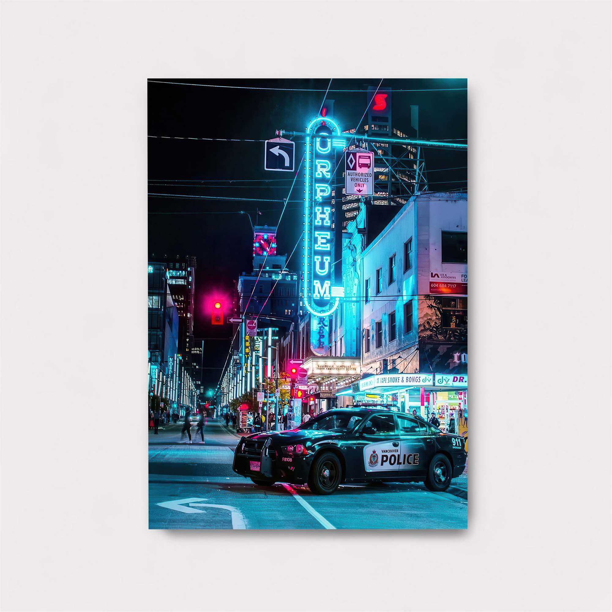 Raven Fury Safe Wall Magnetic / M