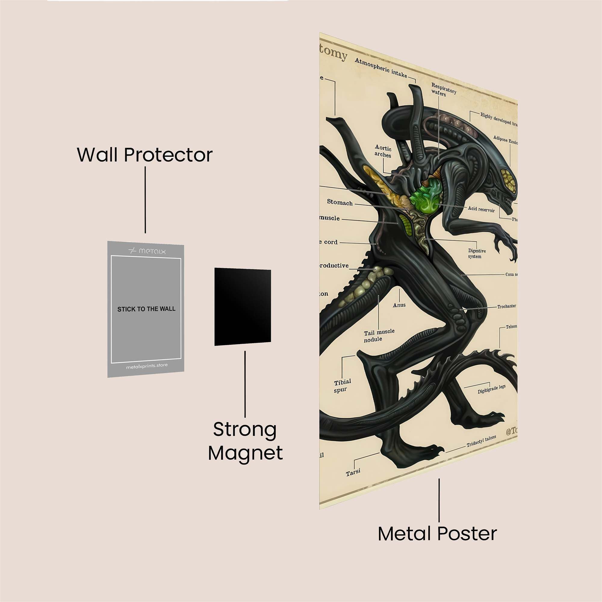 Xenomorph Diagrams Safe Wall Magnetic / M