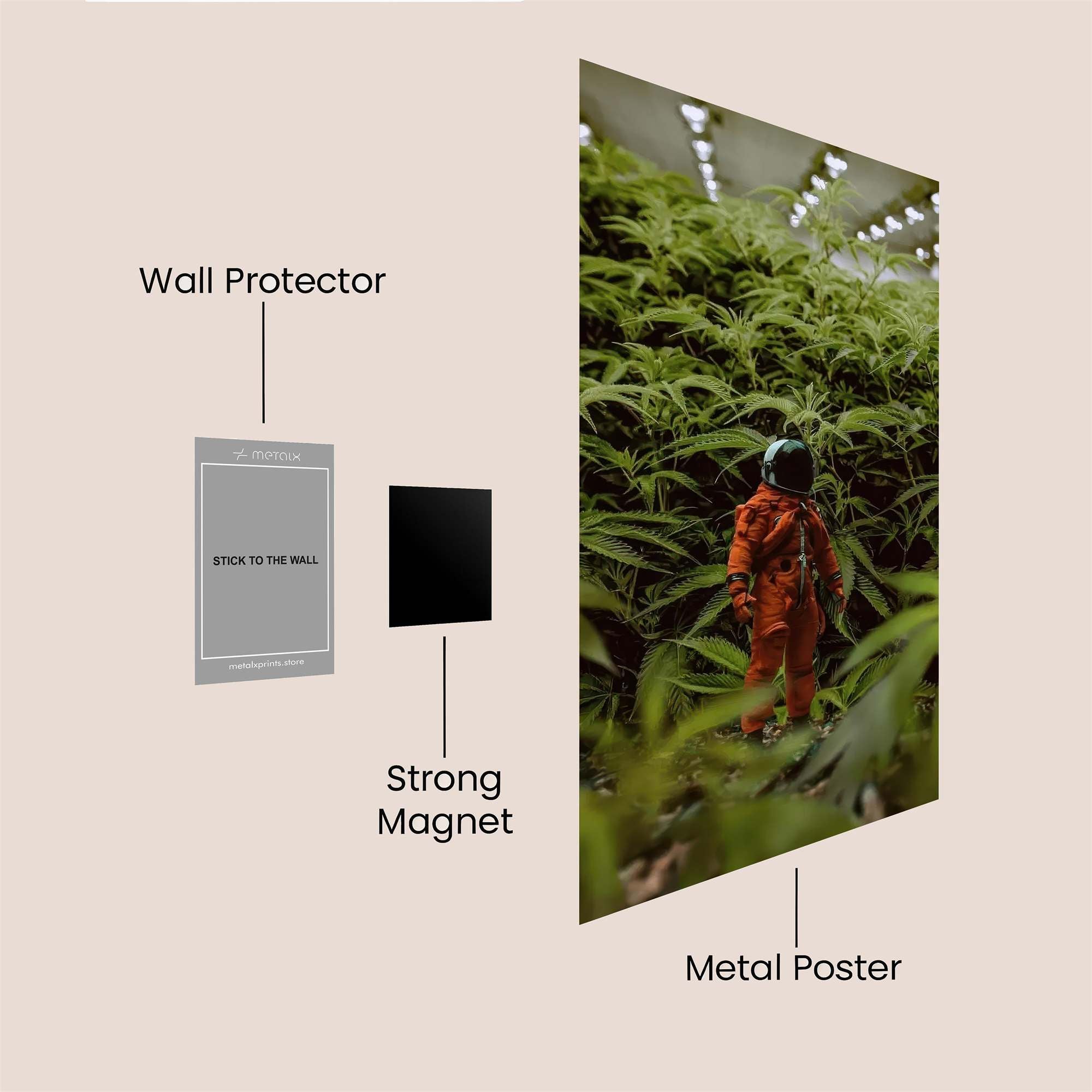 Cosmic Jungle Safe Wall Magnetic / M