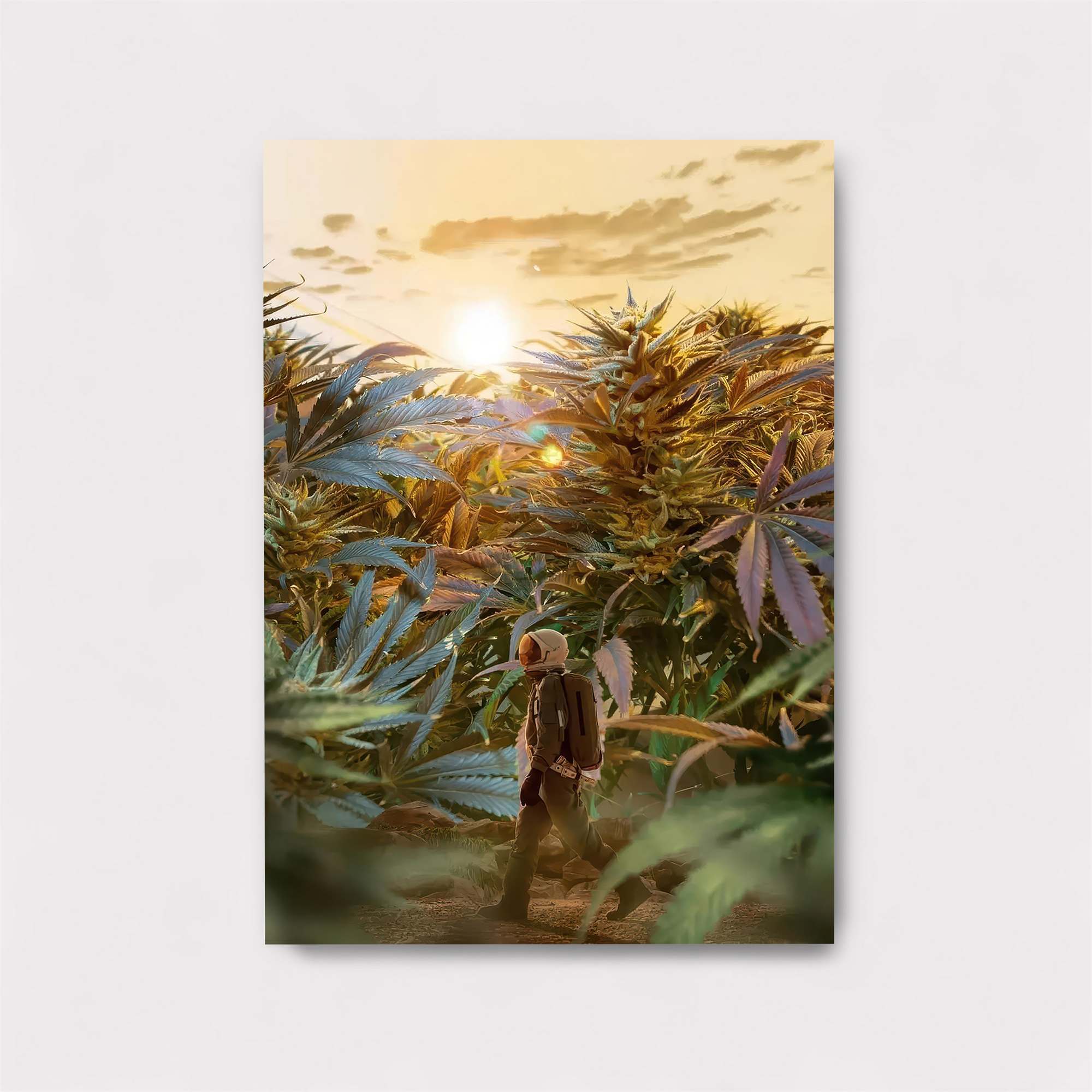 Botanical Voyage Safe Wall Magnetic / M