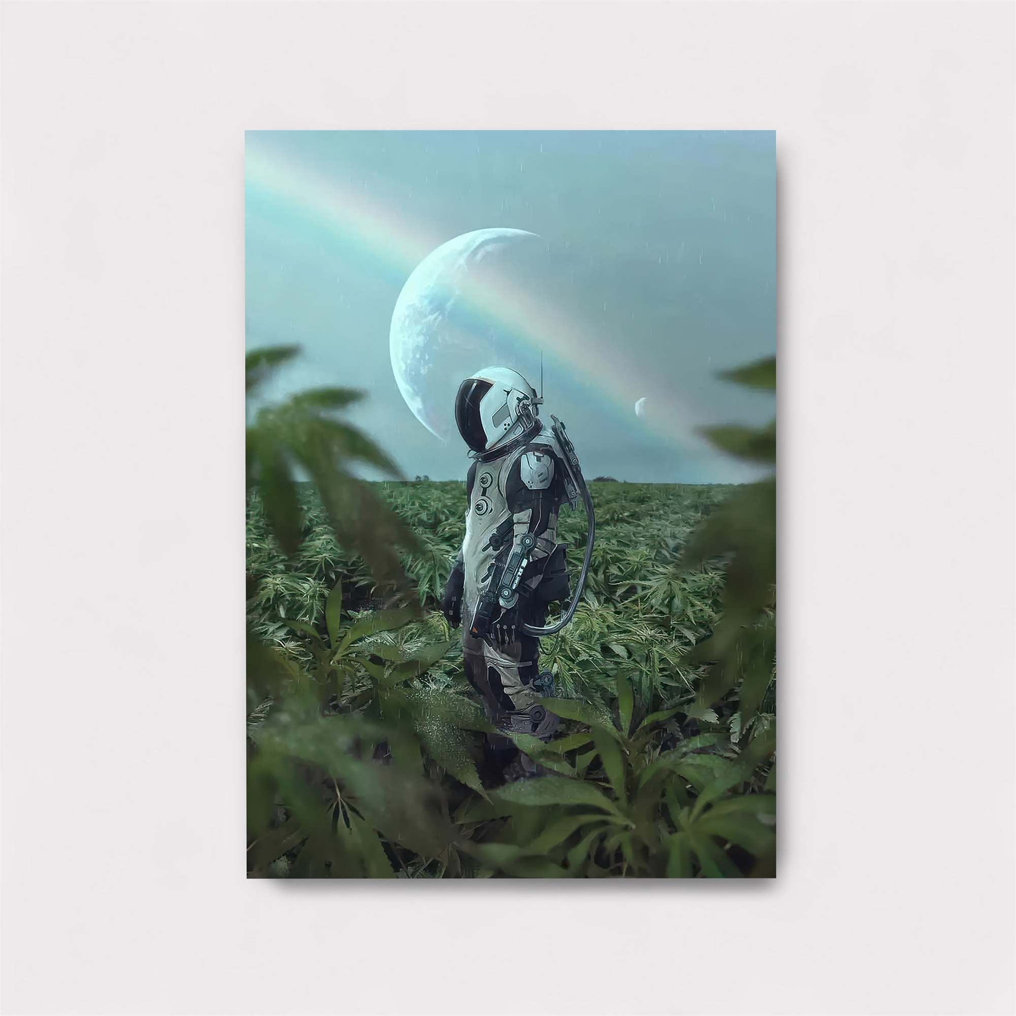 Cosmic Wanderlust Safe Wall Magnetic / M