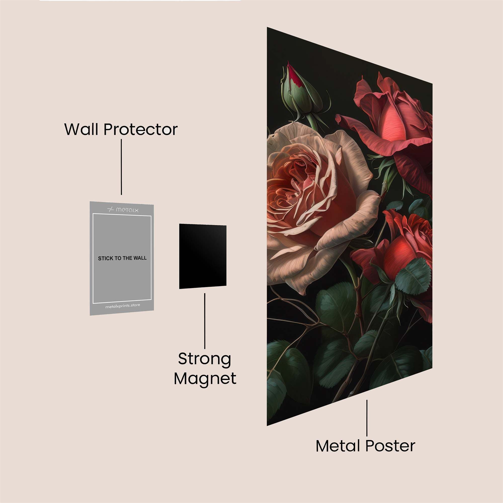 Rose Rapture Safe Wall Magnetic / M