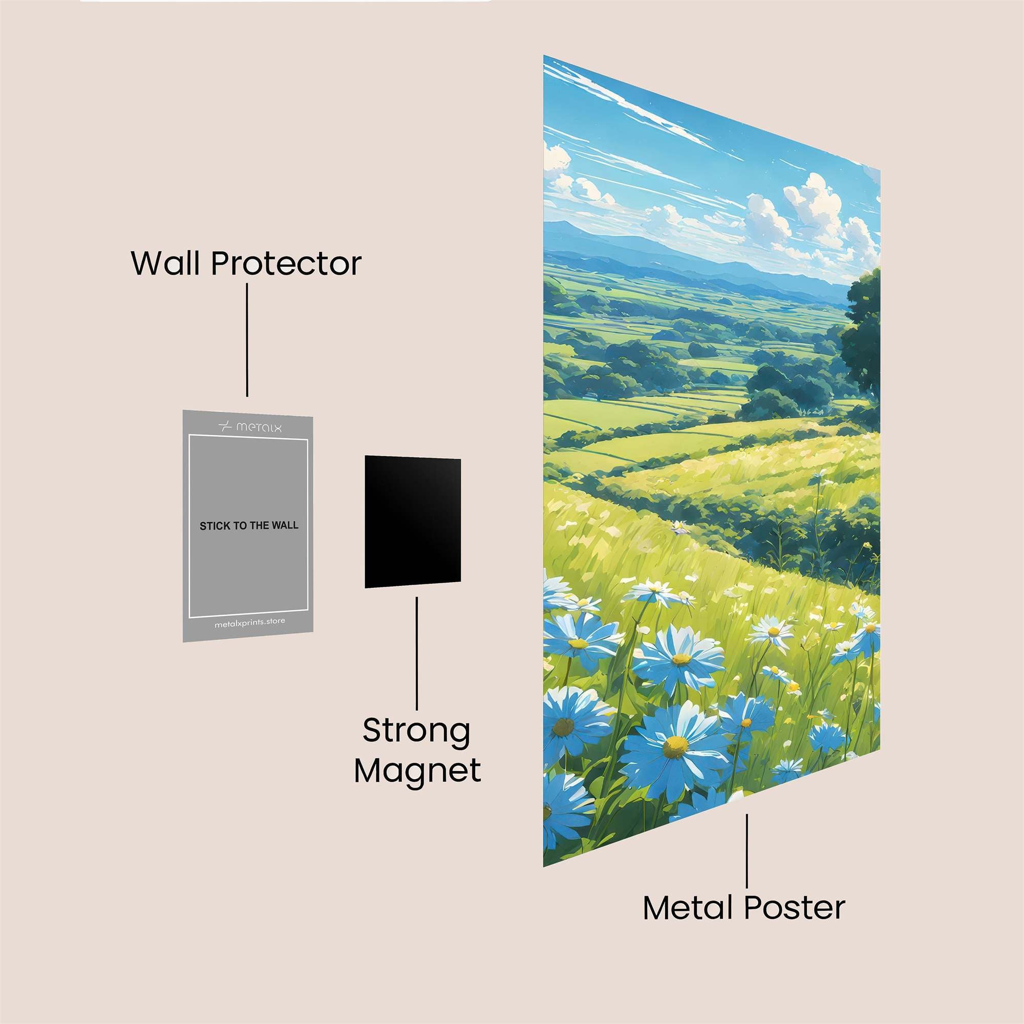 DaisyDream Safe Wall Magnetic / M