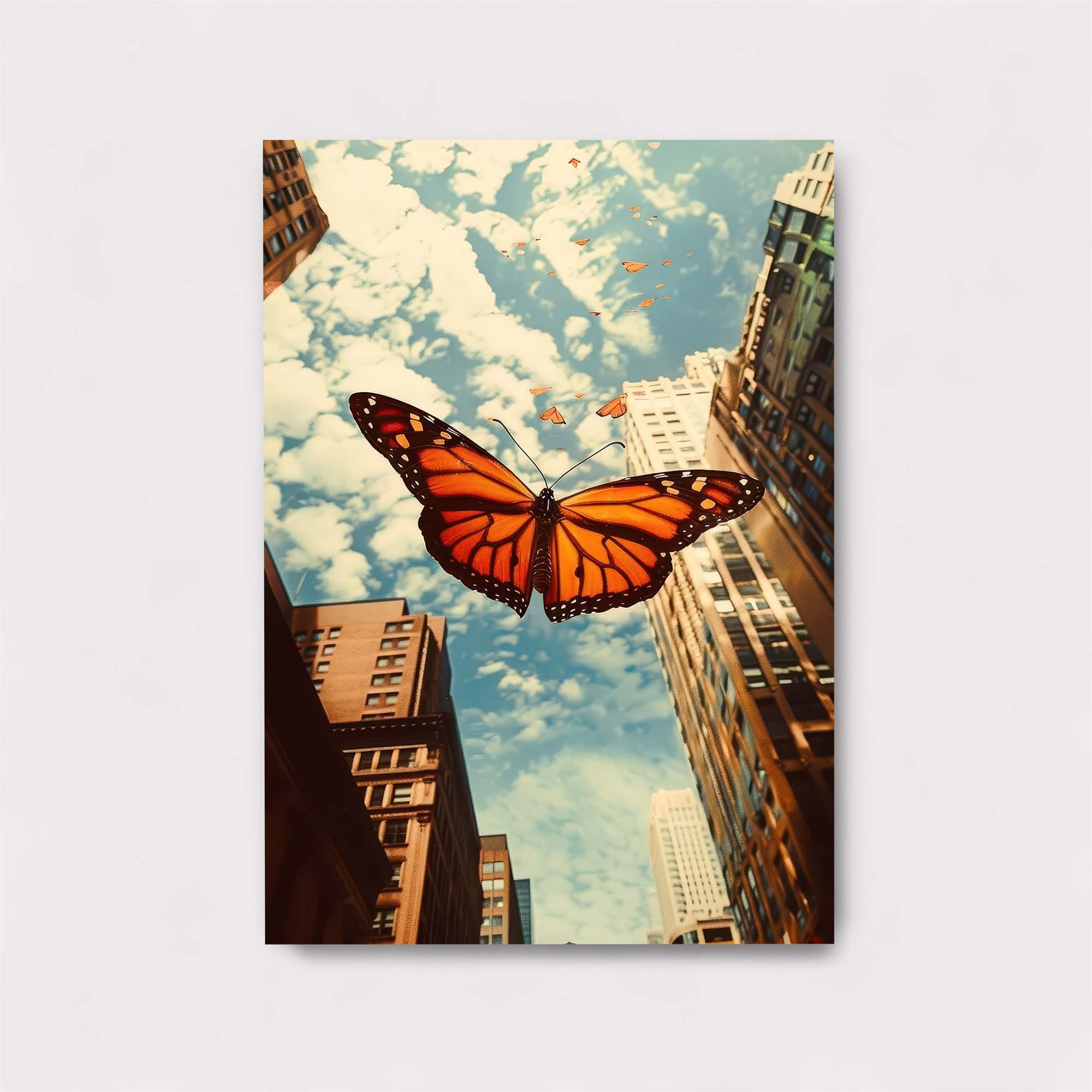 Monarch Freedom Safe Wall Magnetic / M