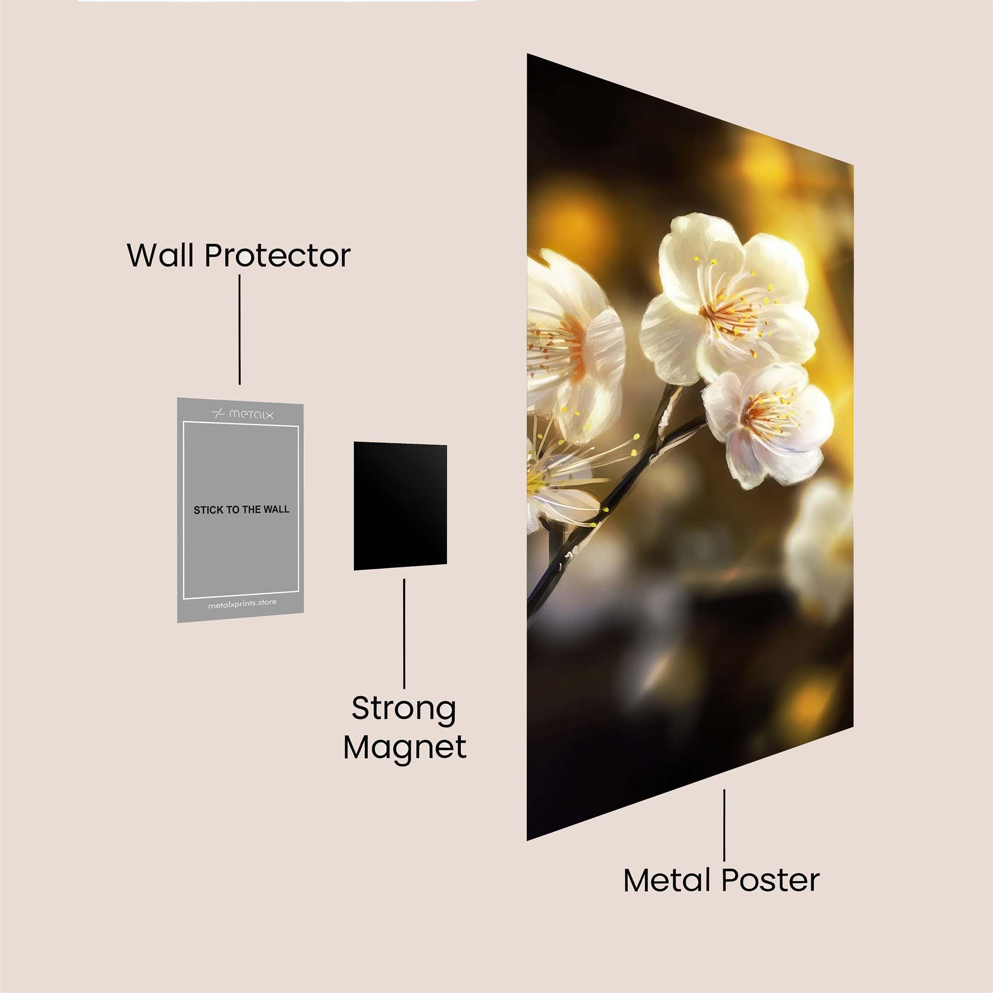 Cherry Radiance Safe Wall Magnetic / M
