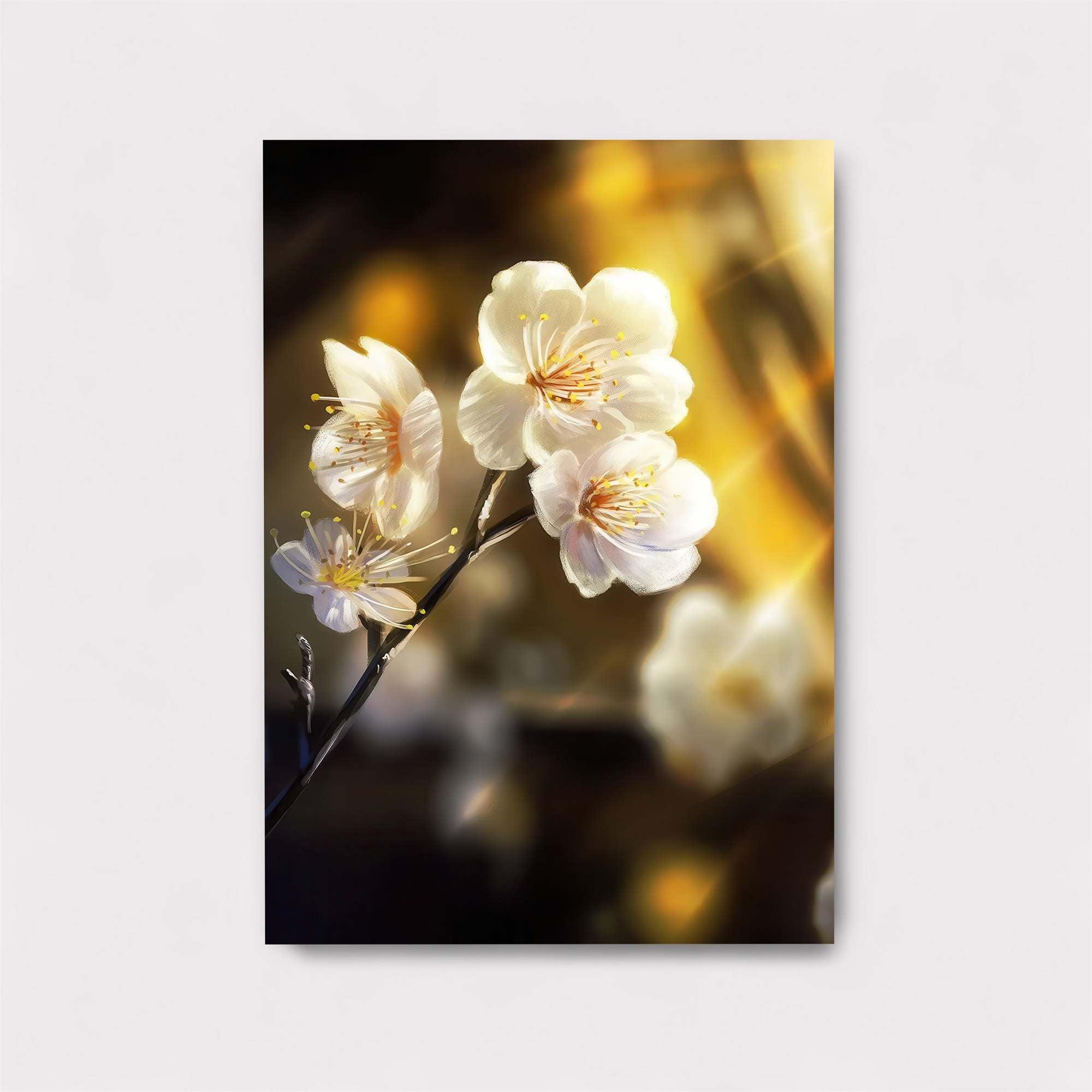 Cherry Radiance Safe Wall Magnetic / M