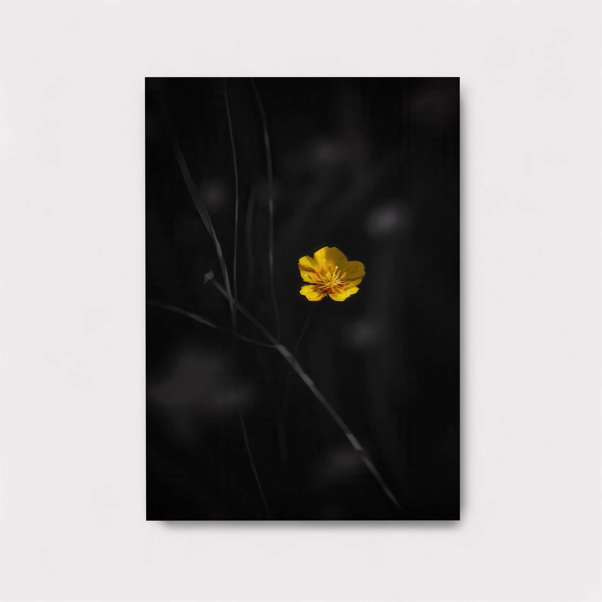 Buttercup Solitude Safe Wall Magnetic / M