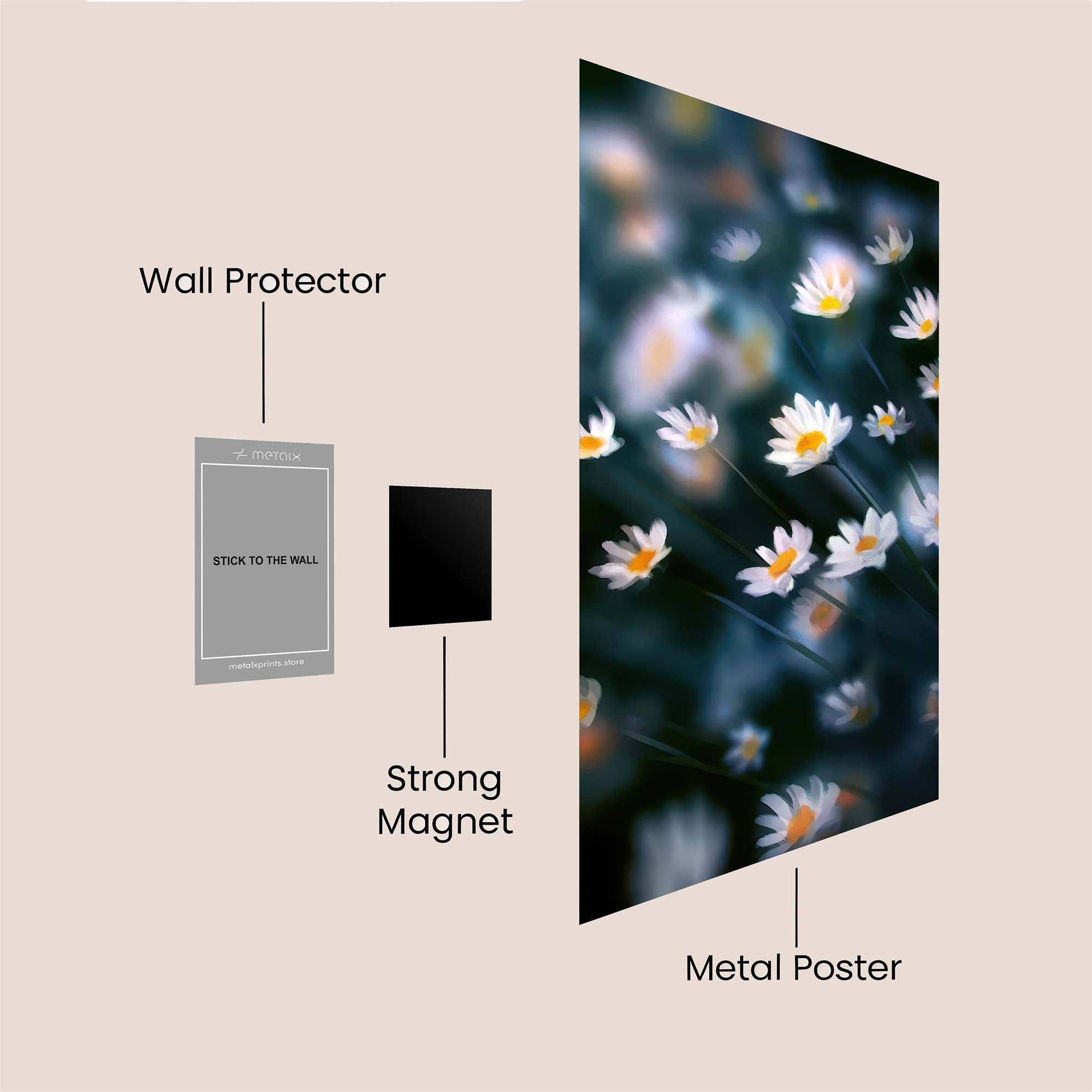 Daisy Dream Safe Wall Magnetic / M