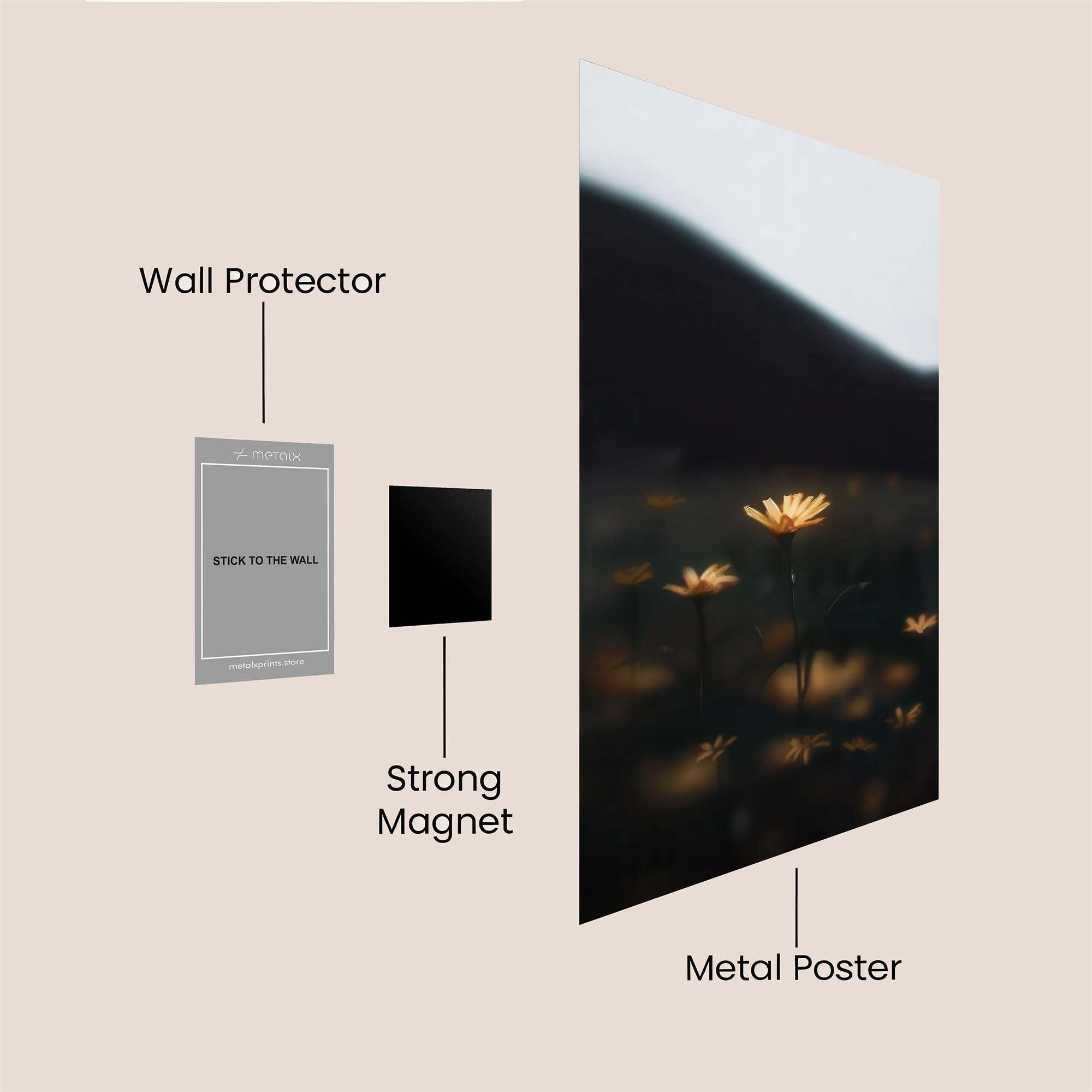 Daisy Dream Safe Wall Magnetic / M