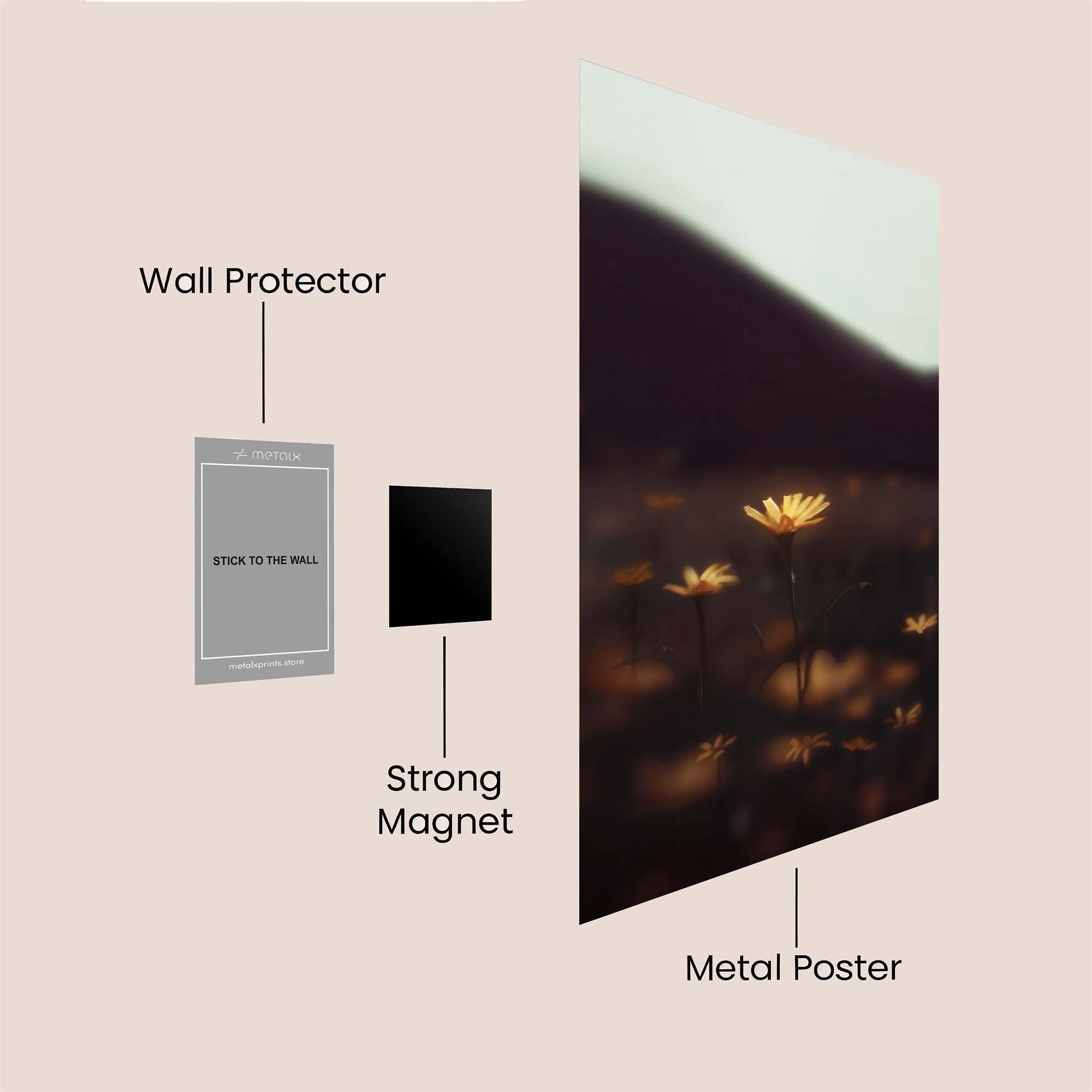 Daisy Whisper Safe Wall Magnetic / M