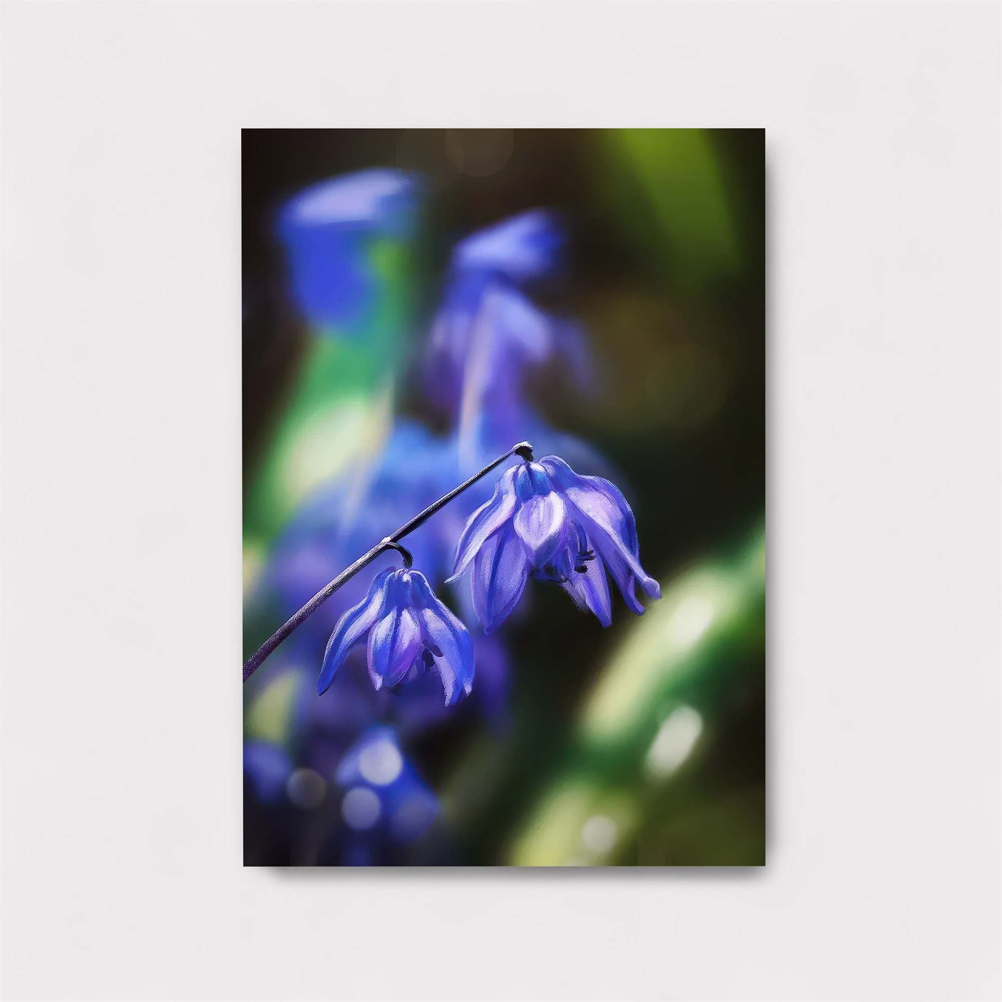 Bluebell Serenity Safe Wall Magnetic / M