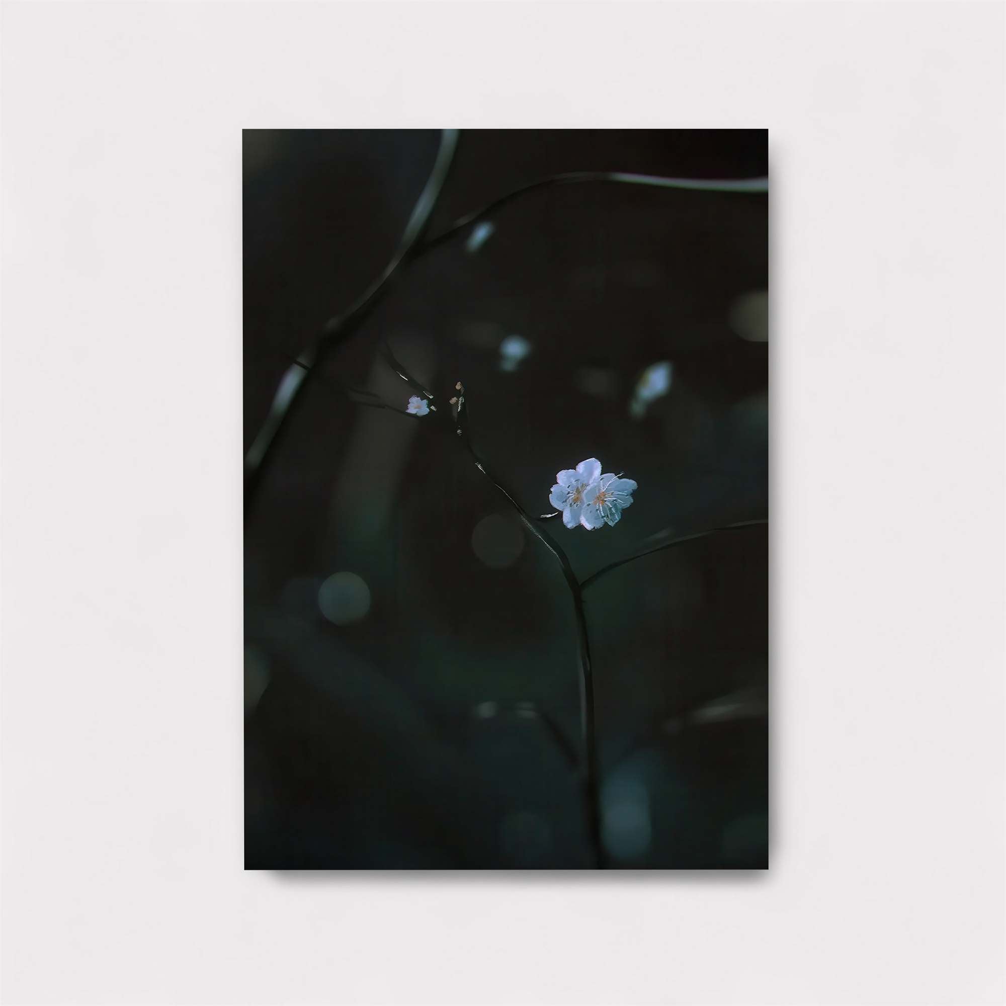 Flower Solitude Safe Wall Magnetic / M