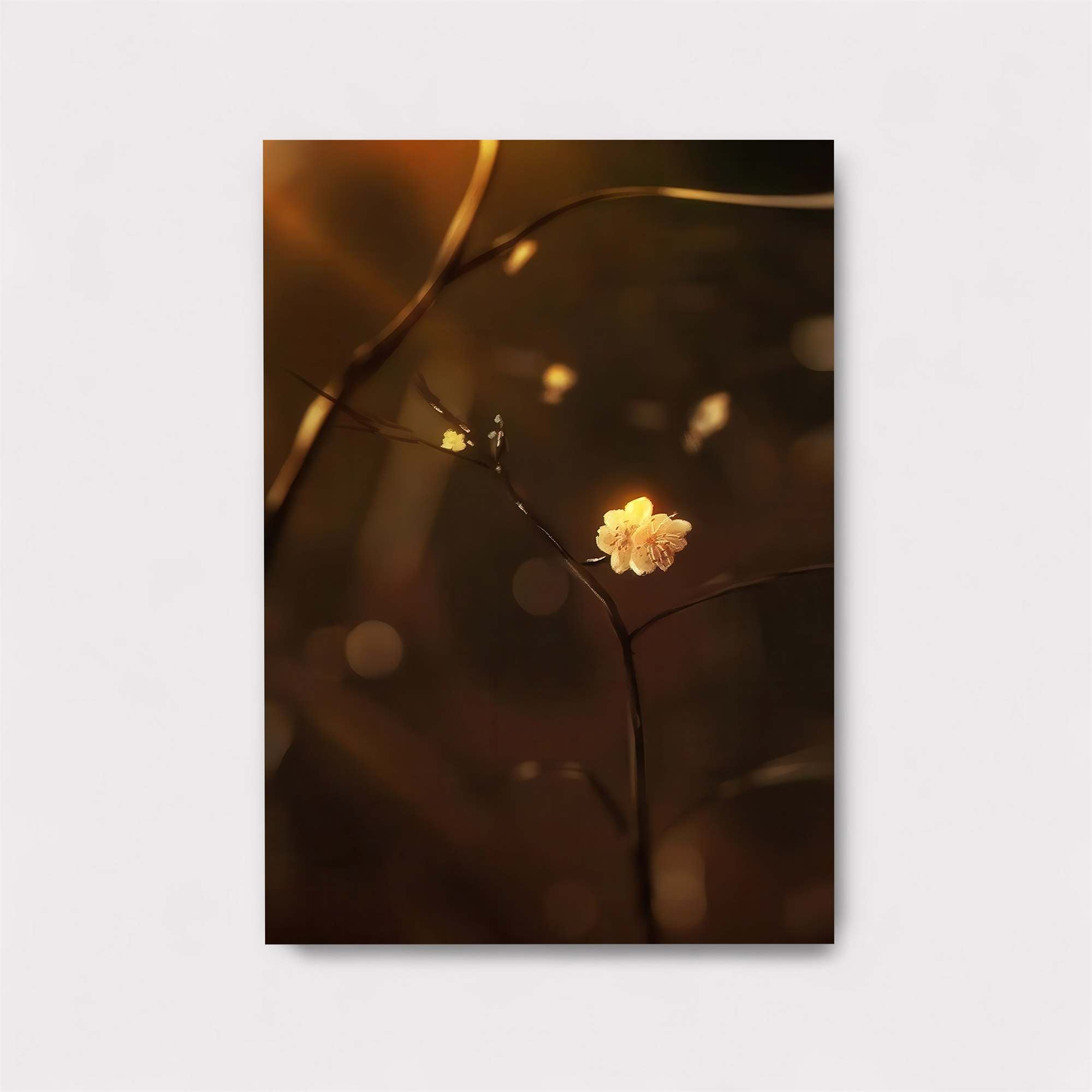 Blossom Glow Safe Wall Magnetic / M