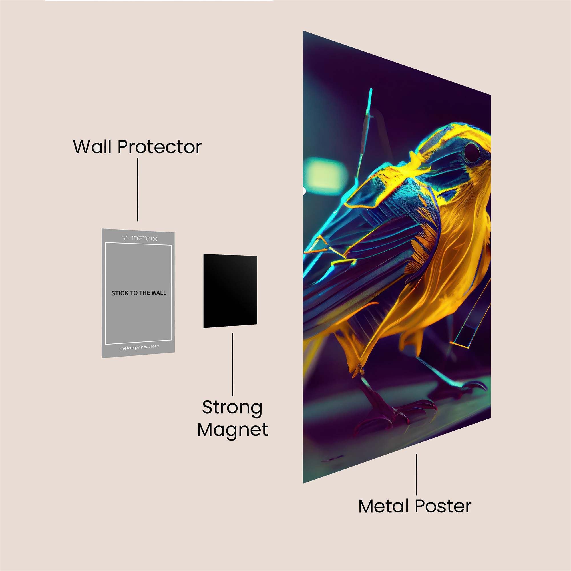 Vortex Intense Safe Wall Magnetic / M