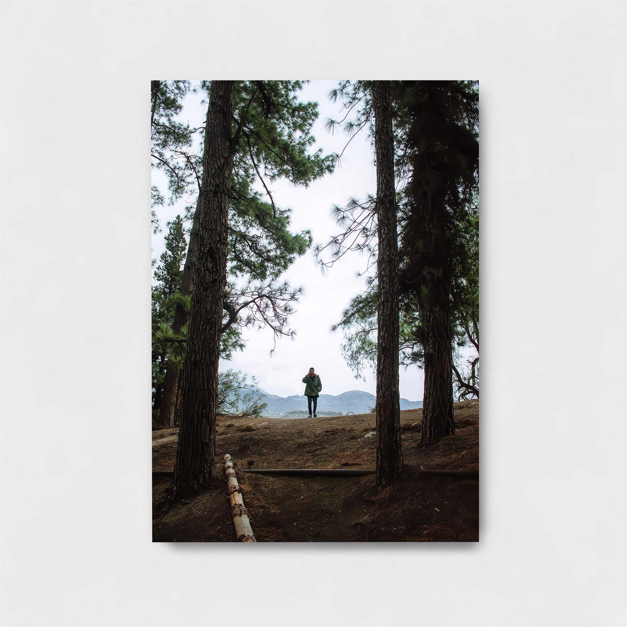 Journey Serene Safe Wall Magnetic / M