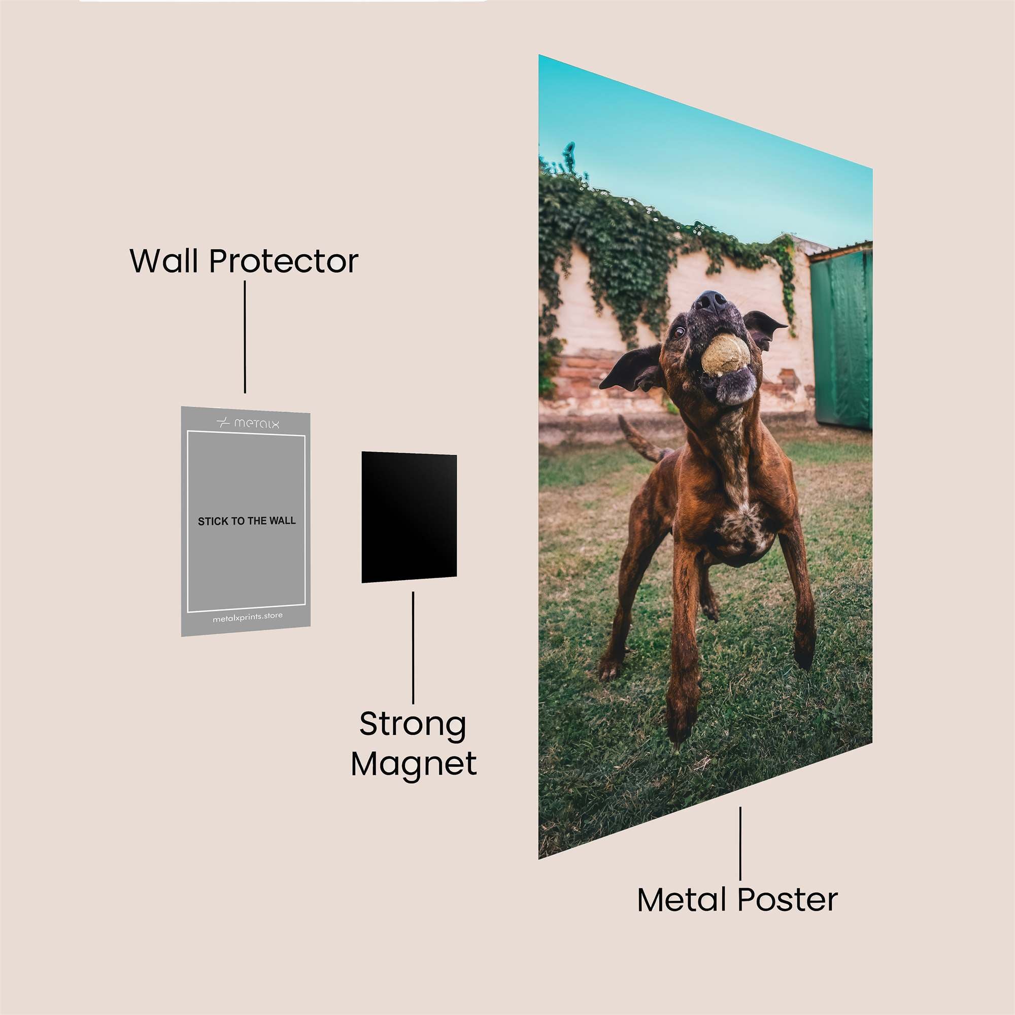 Doggy Delight Safe Wall Magnetic / M