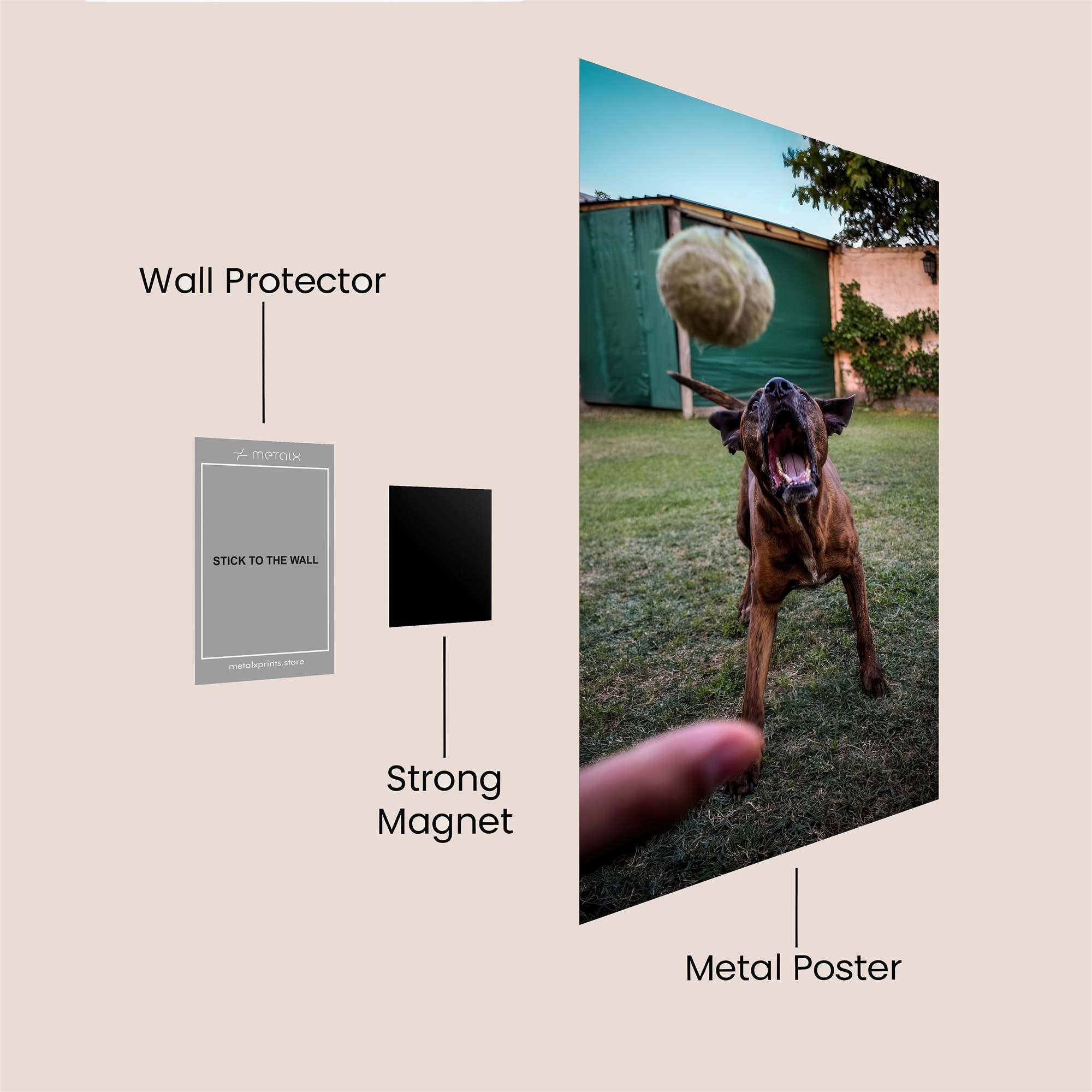 Dog Ecstasy Safe Wall Magnetic / M