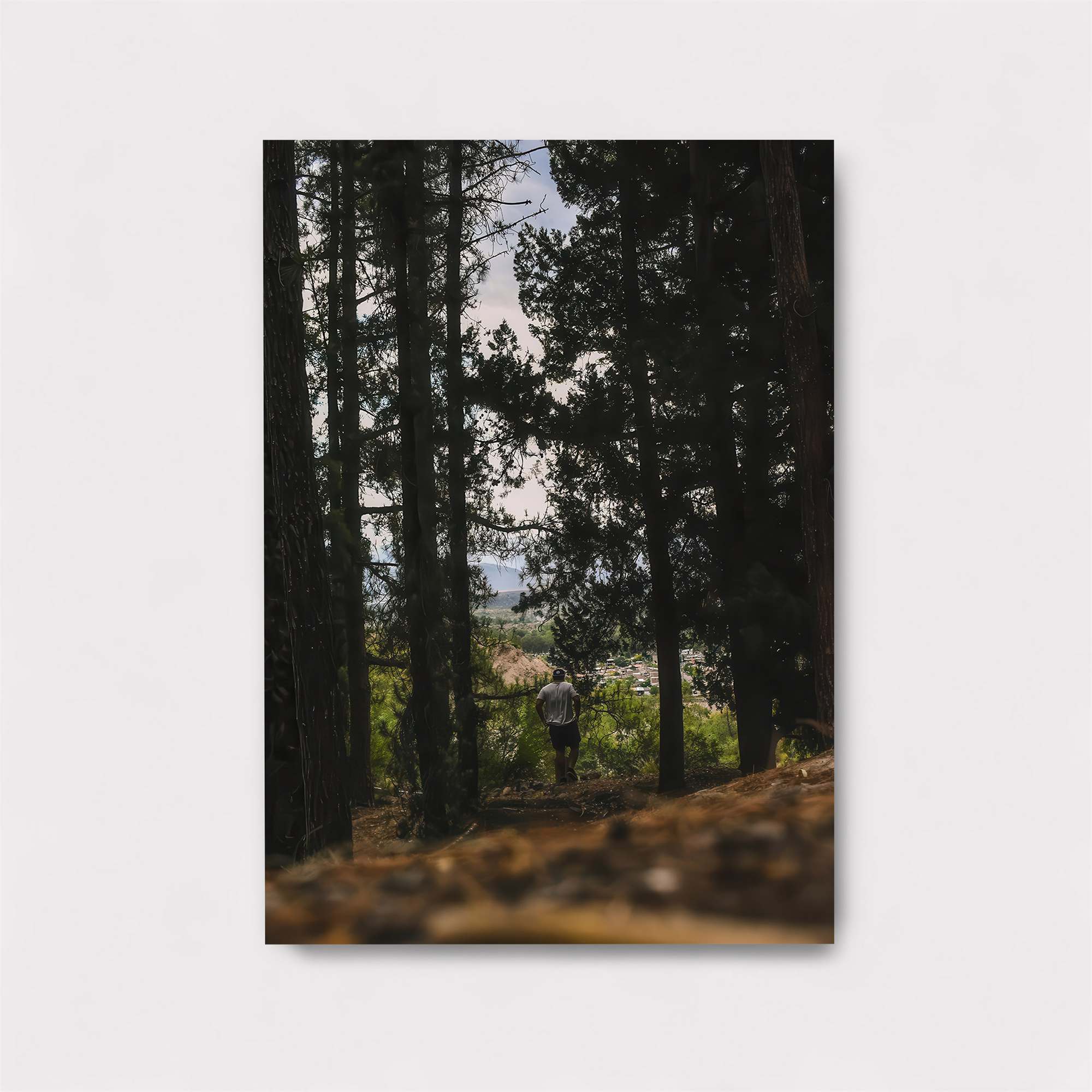 Forest Solitude Safe Wall Magnetic / M