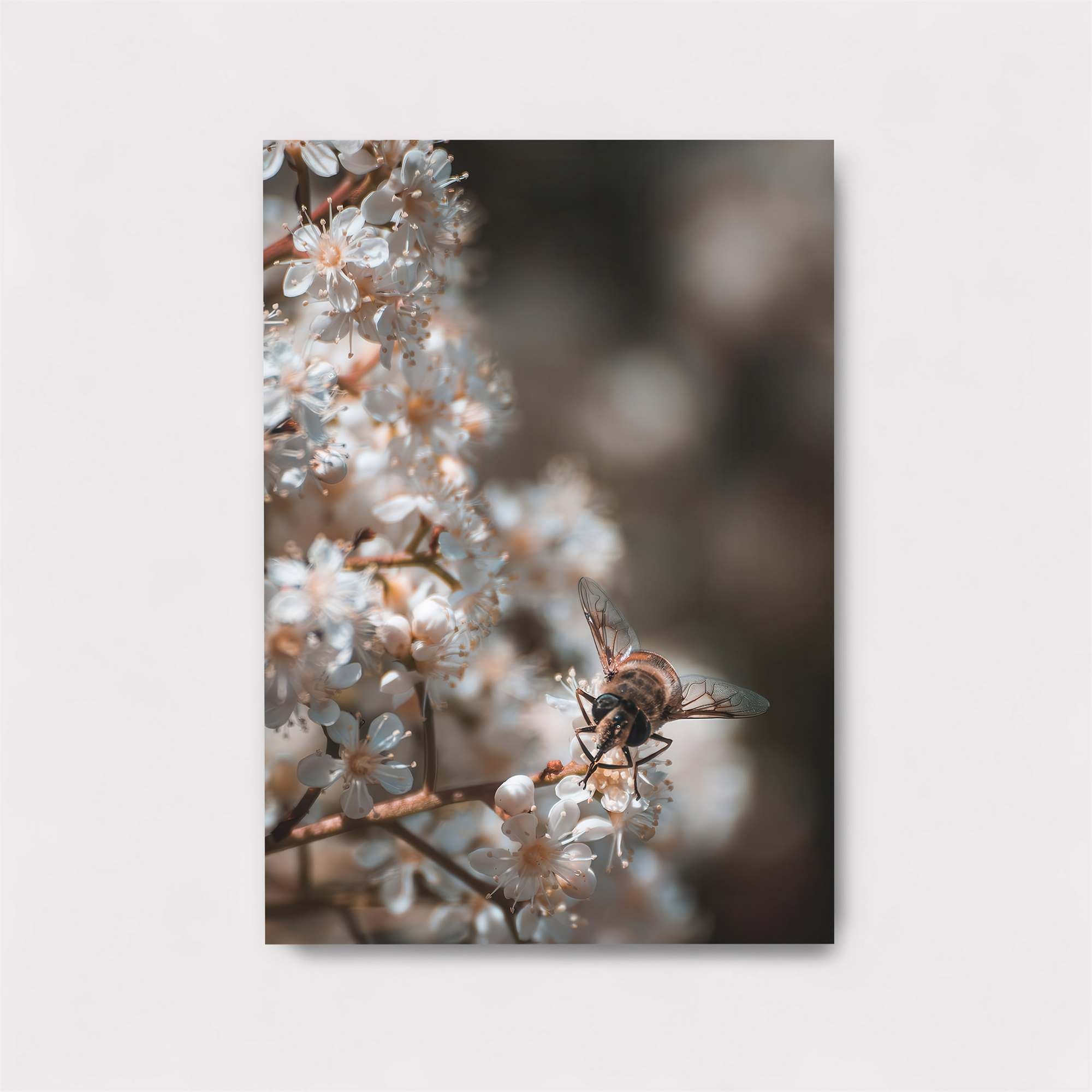 Bee Serenity Safe Wall Magnetic / M