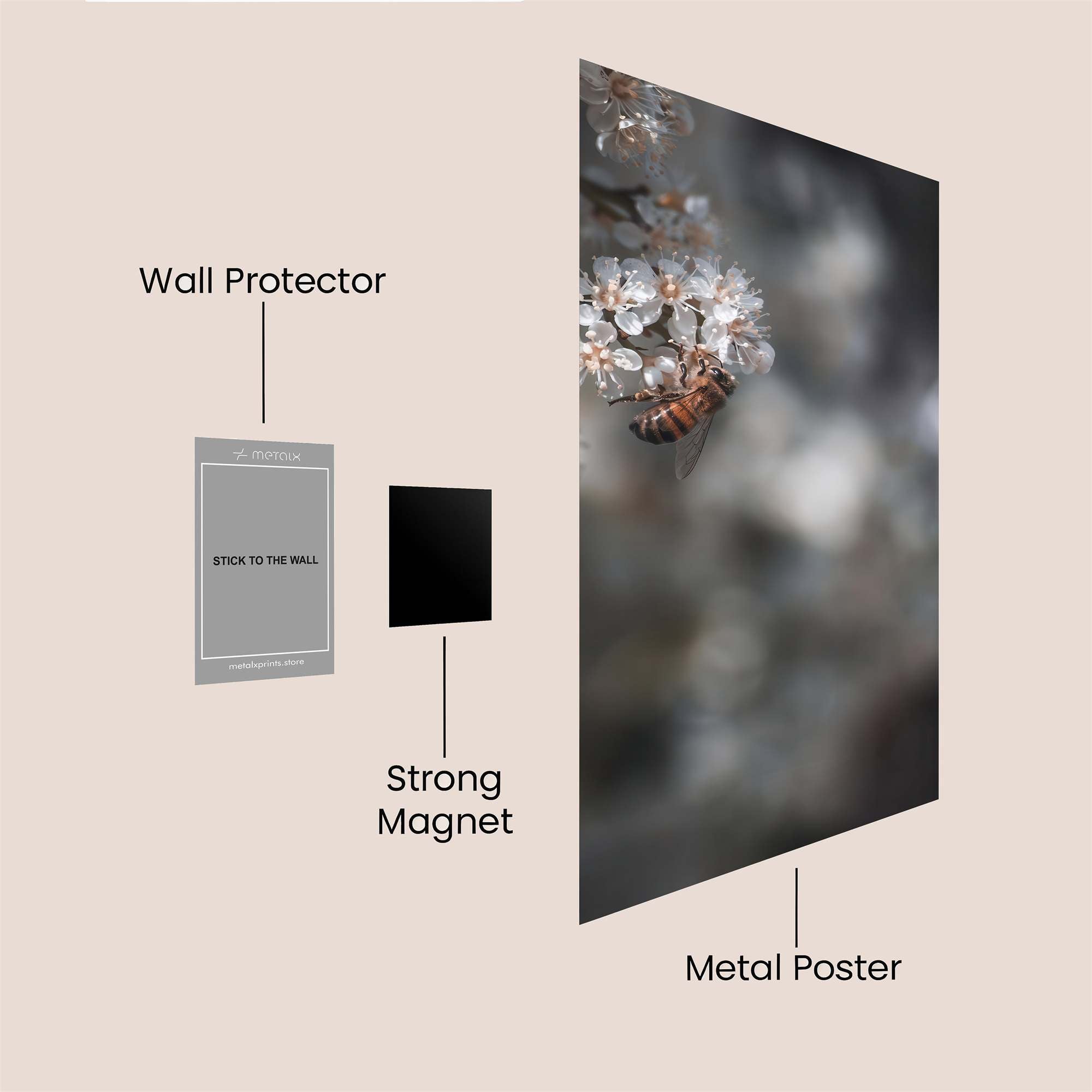 Bee Whisper Safe Wall Magnetic / M