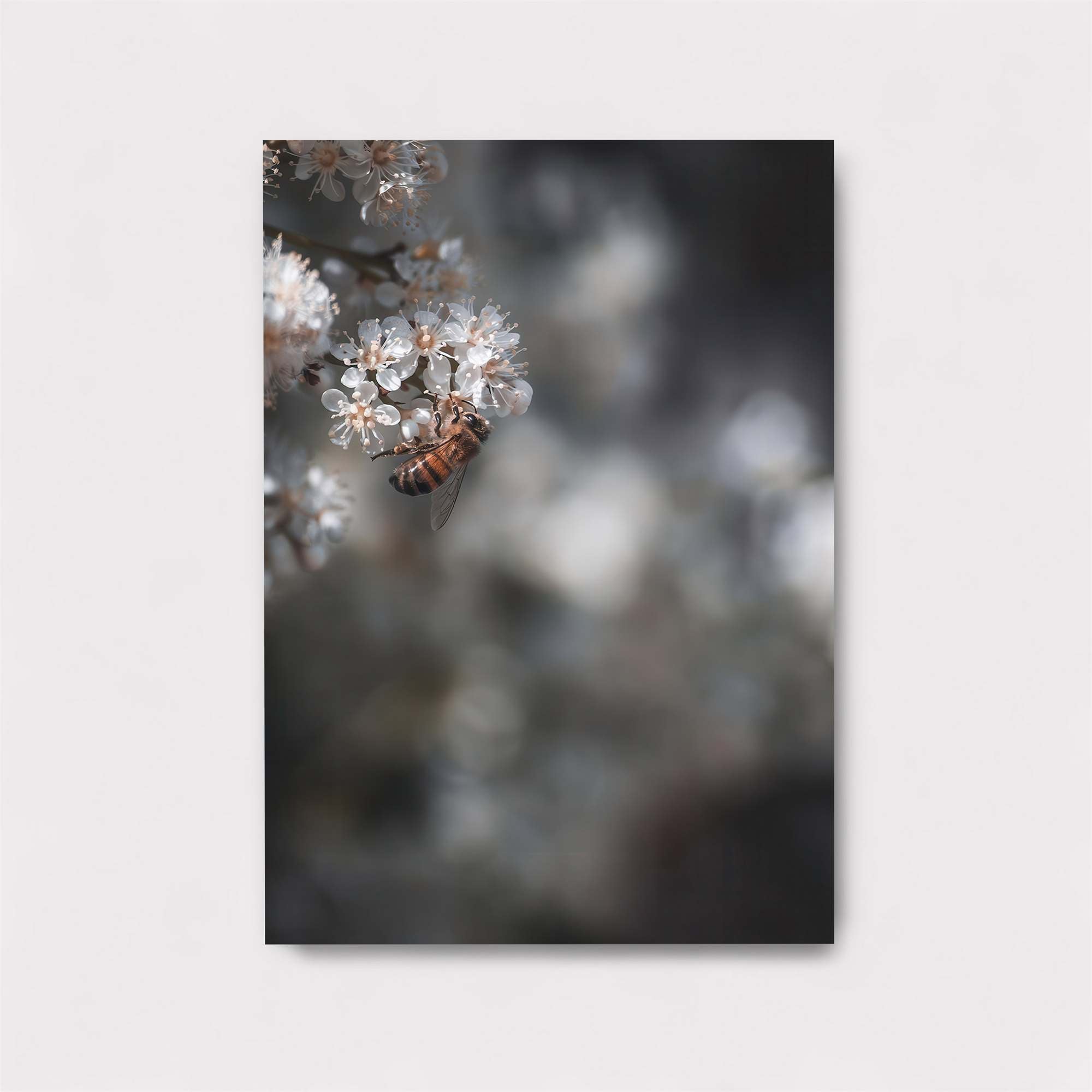 Bee Whisper Safe Wall Magnetic / M