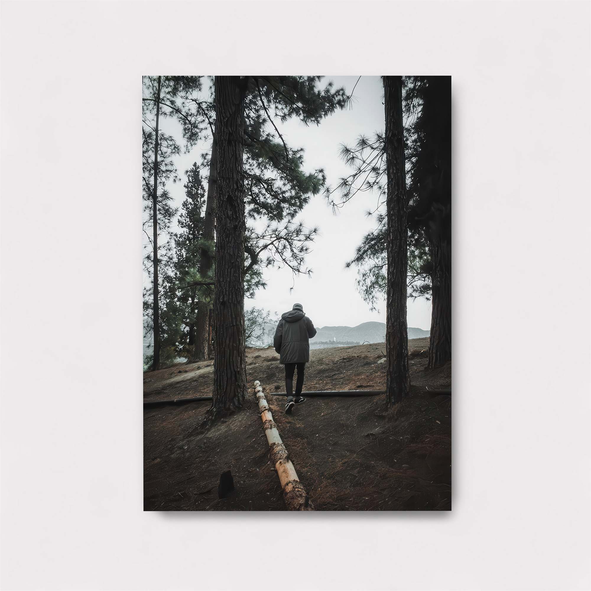 Journey Serene Safe Wall Magnetic / M