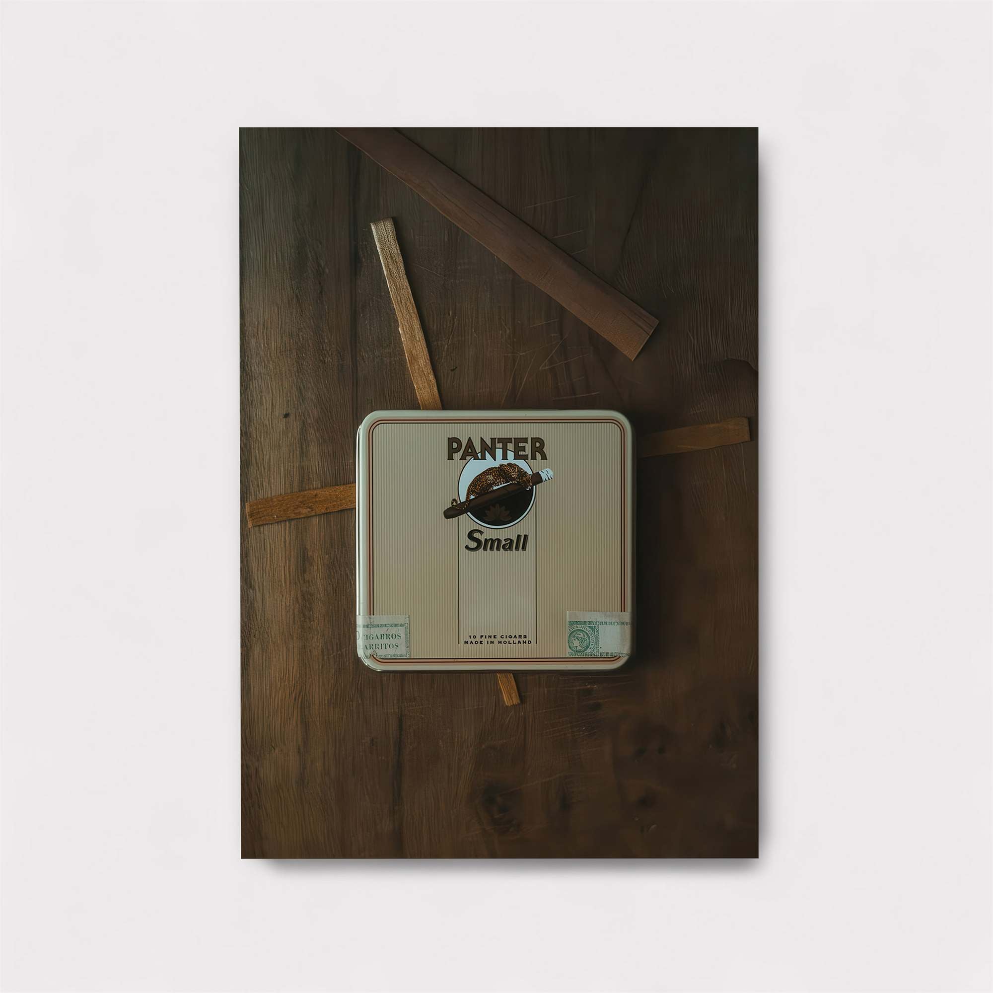 Panter Enigma Safe Wall Magnetic / M