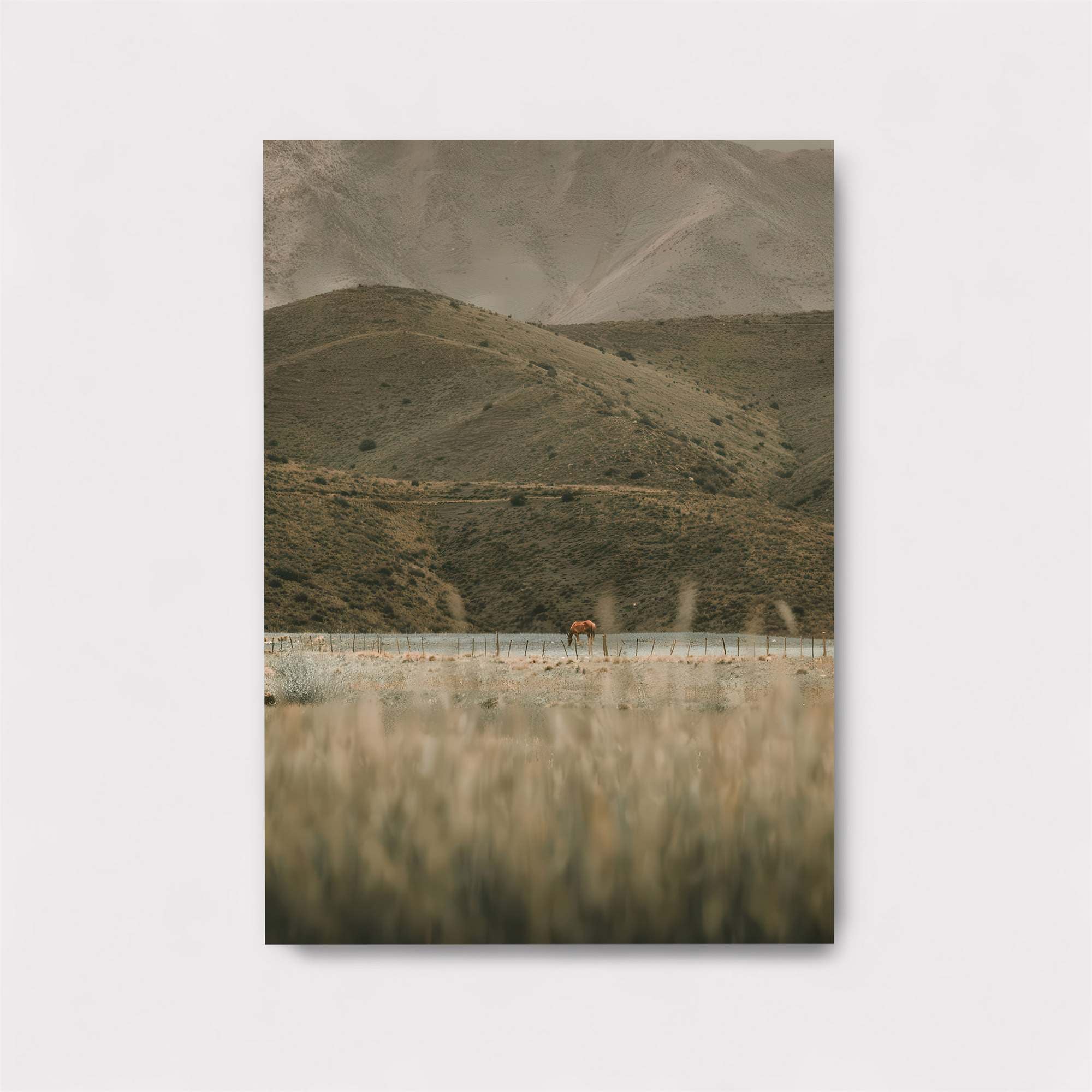 Horse Solitude Safe Wall Magnetic / M