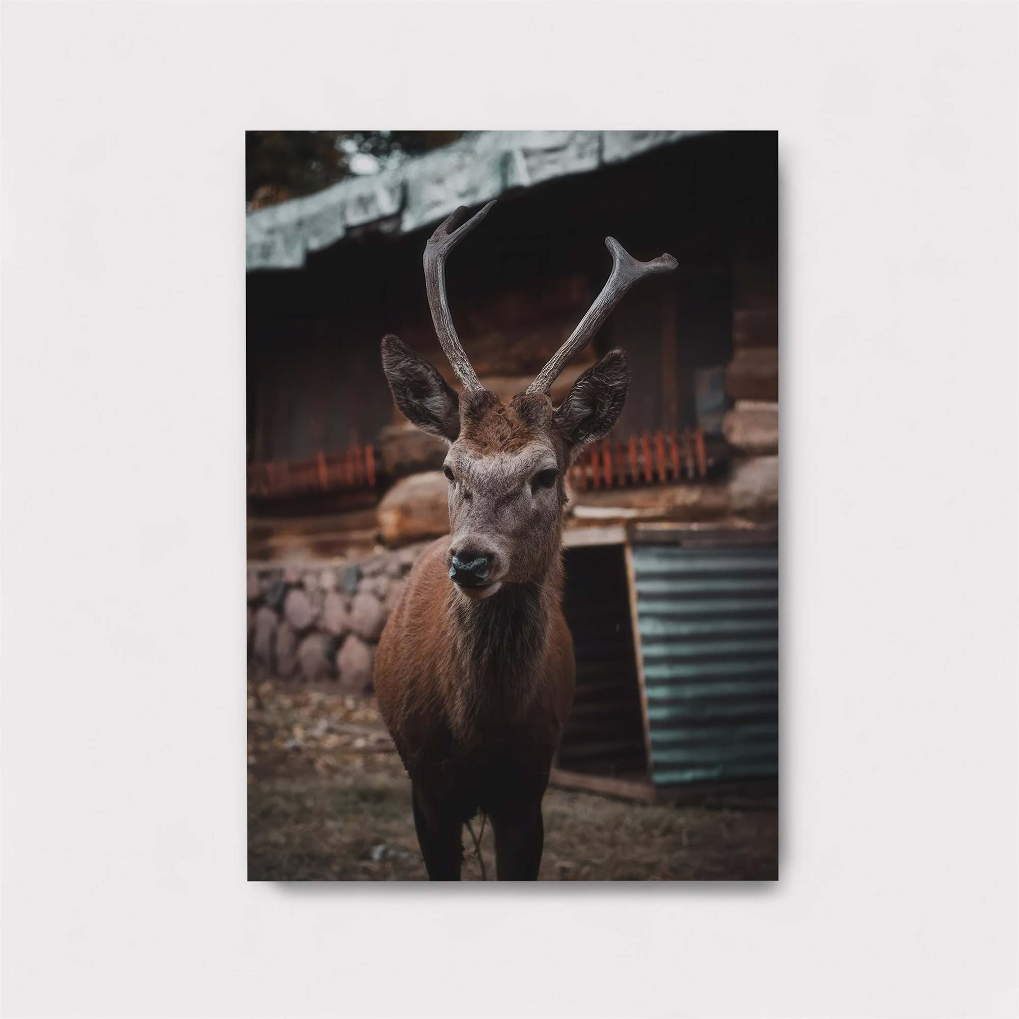 Deer Serenity Safe Wall Magnetic / M