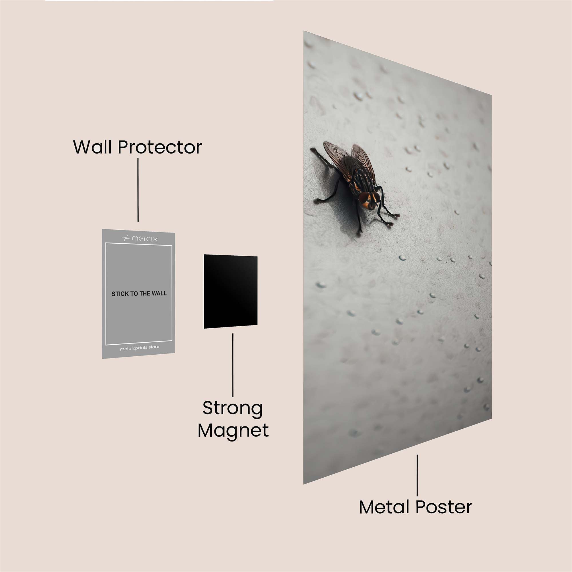 Fly Intruder Safe Wall Magnetic / M