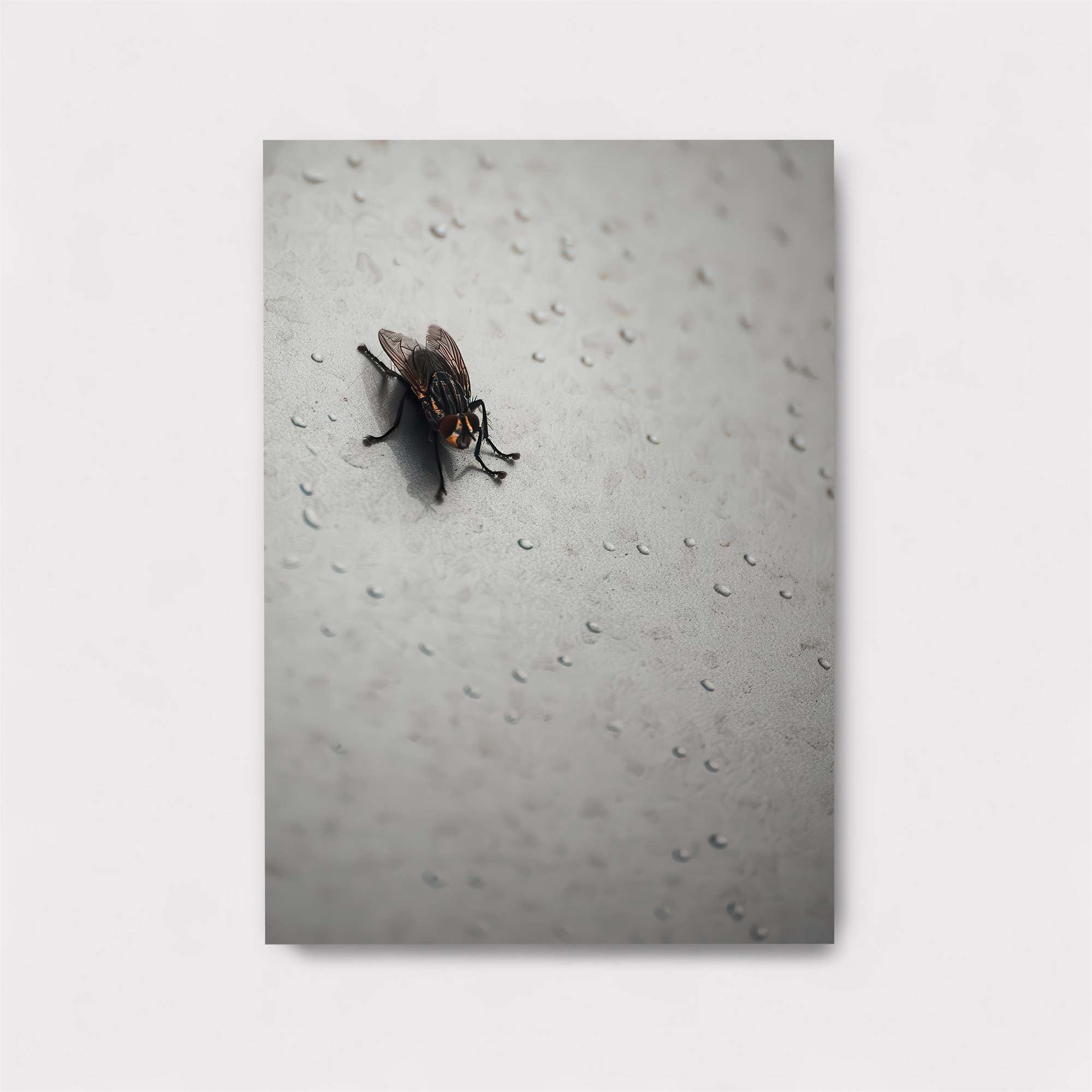 Fly Intruder Safe Wall Magnetic / M