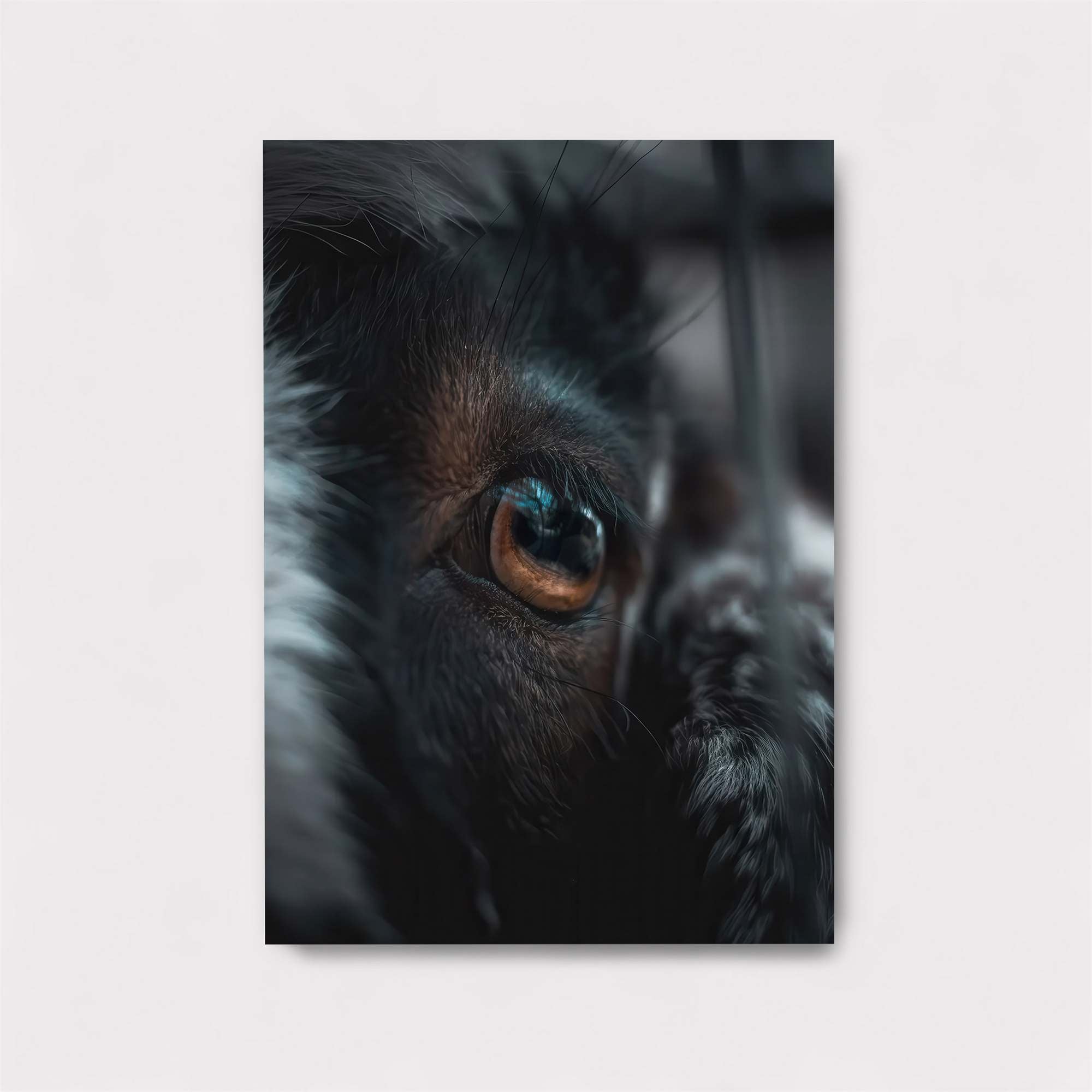 Dog Intrigue Safe Wall Magnetic / M