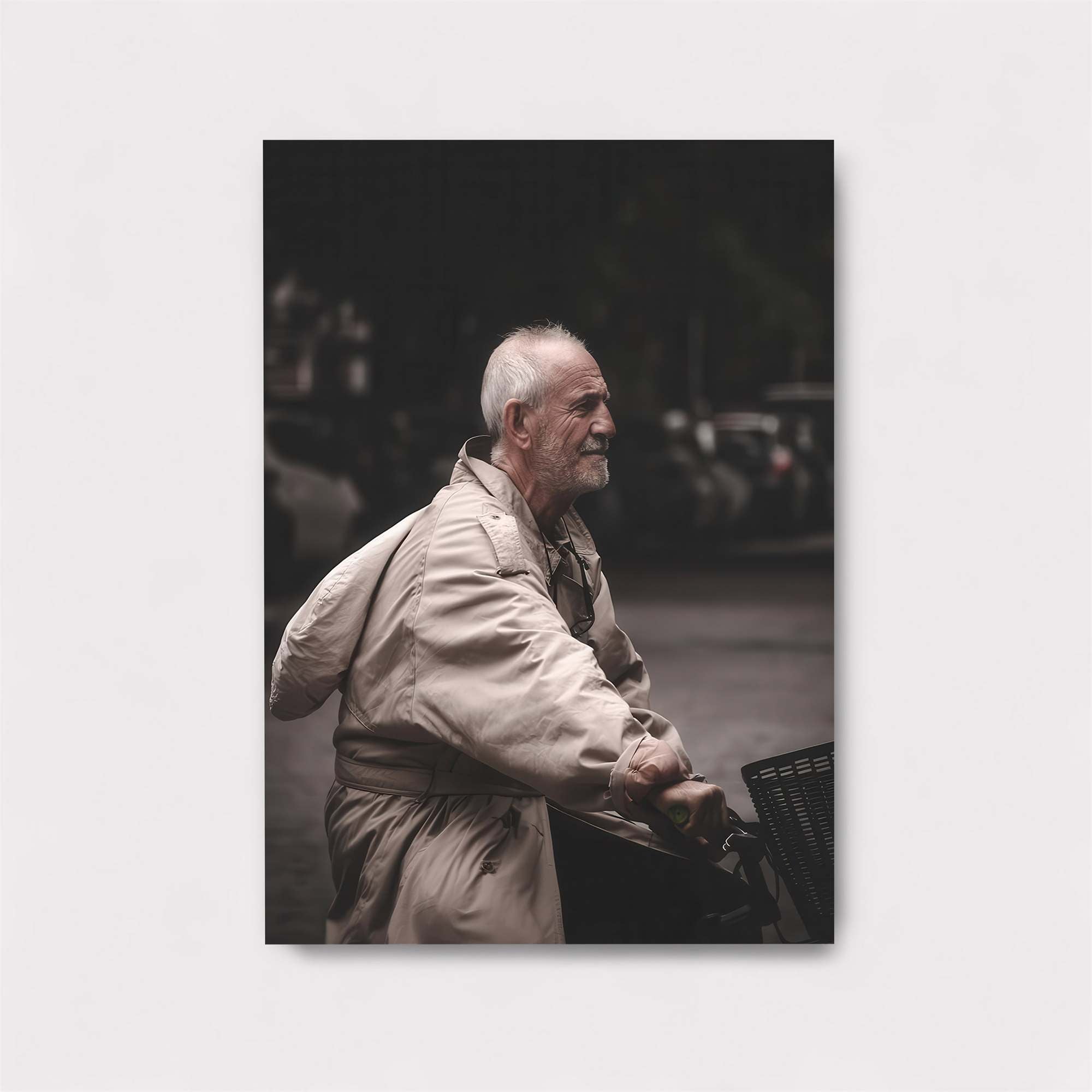 Elderly Serenity Safe Wall Magnetic / M