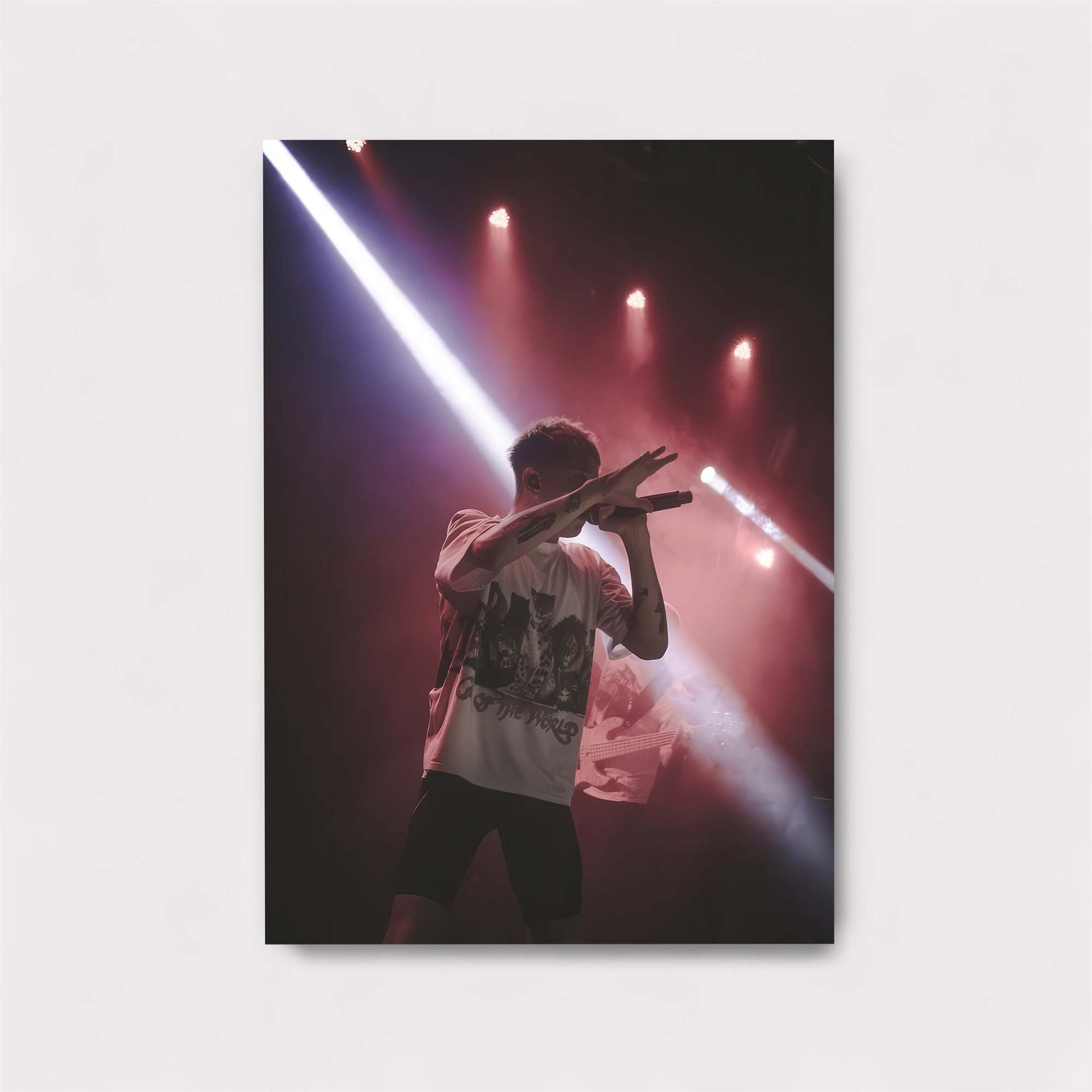 Concert Euphoria Safe Wall Magnetic / M