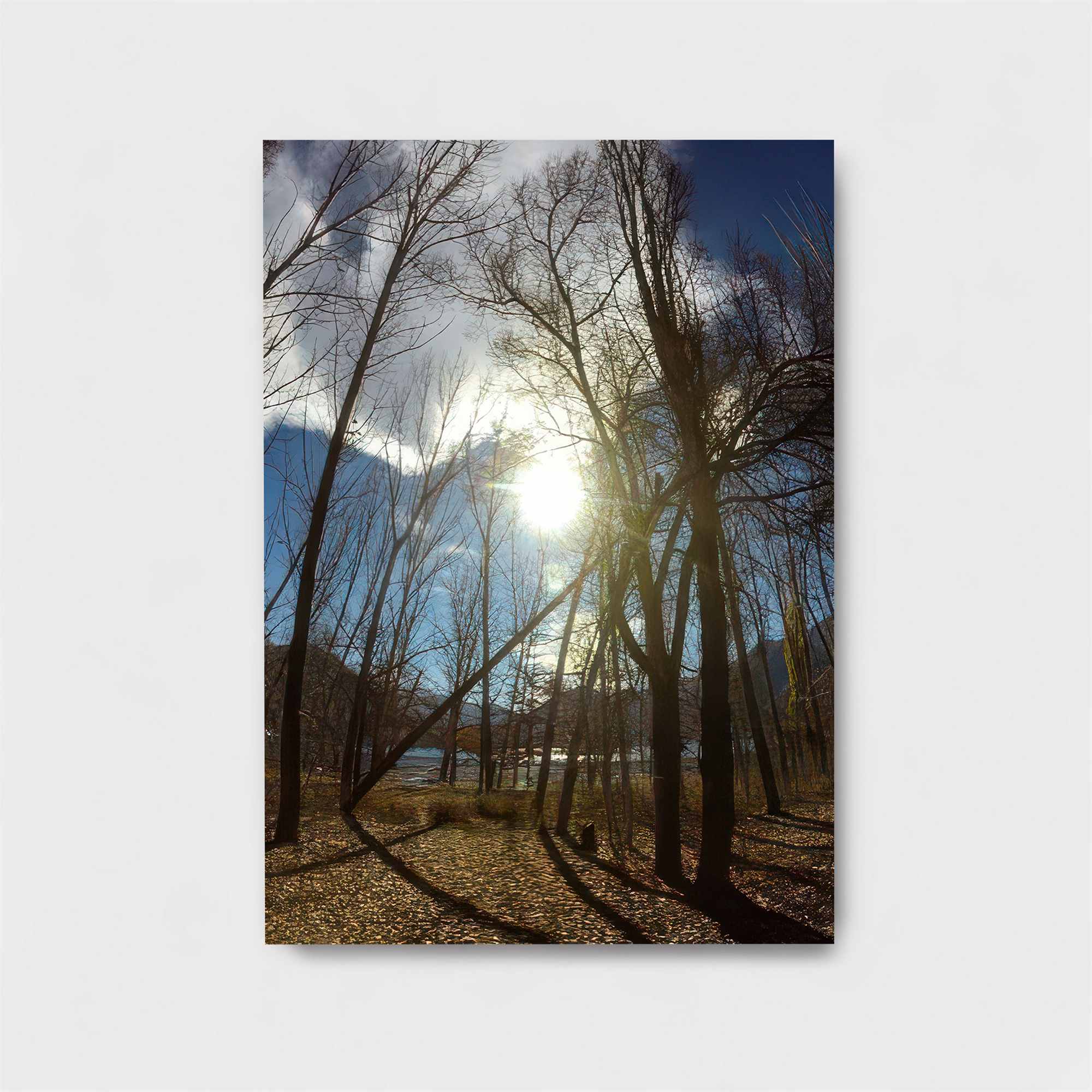 Sunlit Serenity Safe Wall Magnetic / M