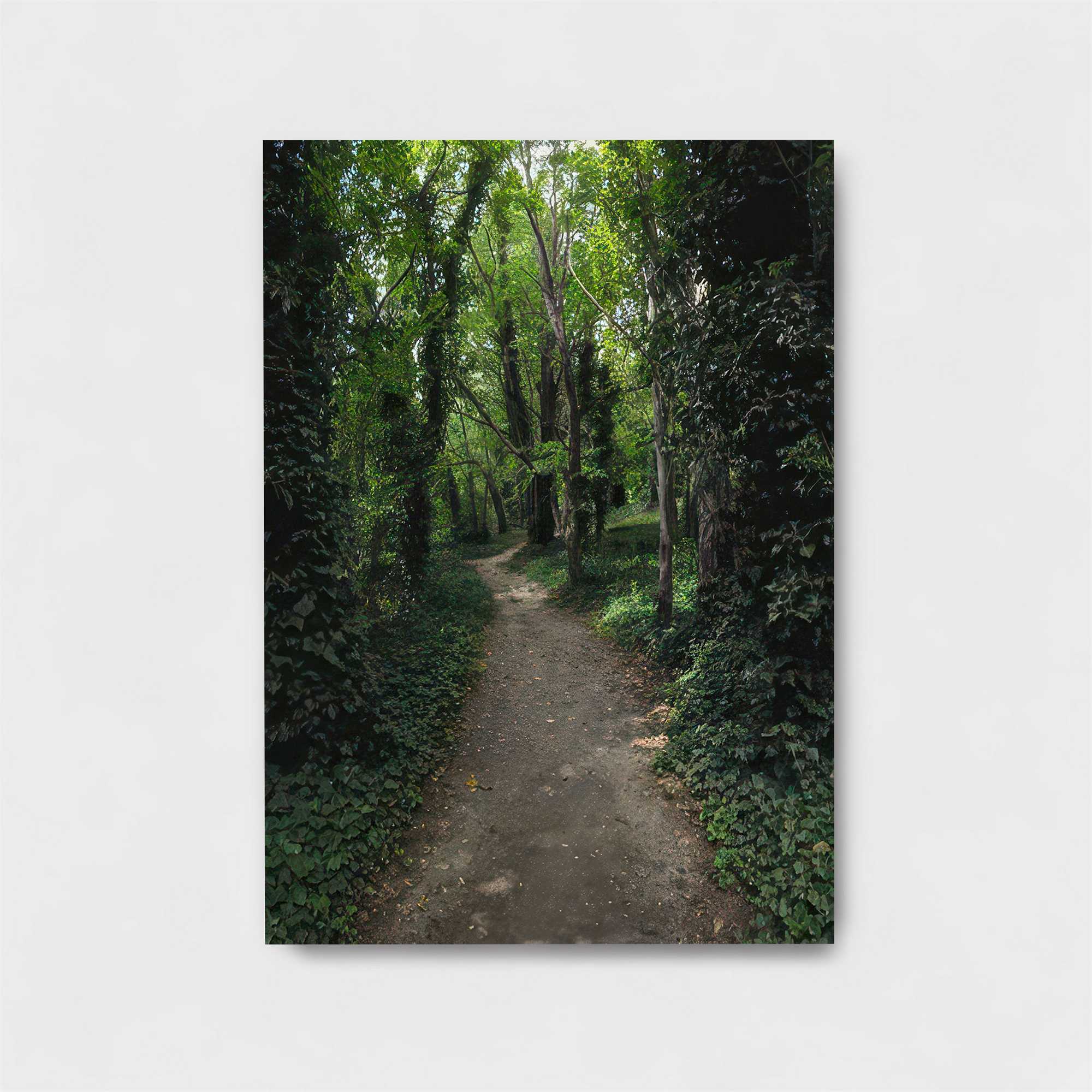 Forest Serenity Safe Wall Magnetic / M