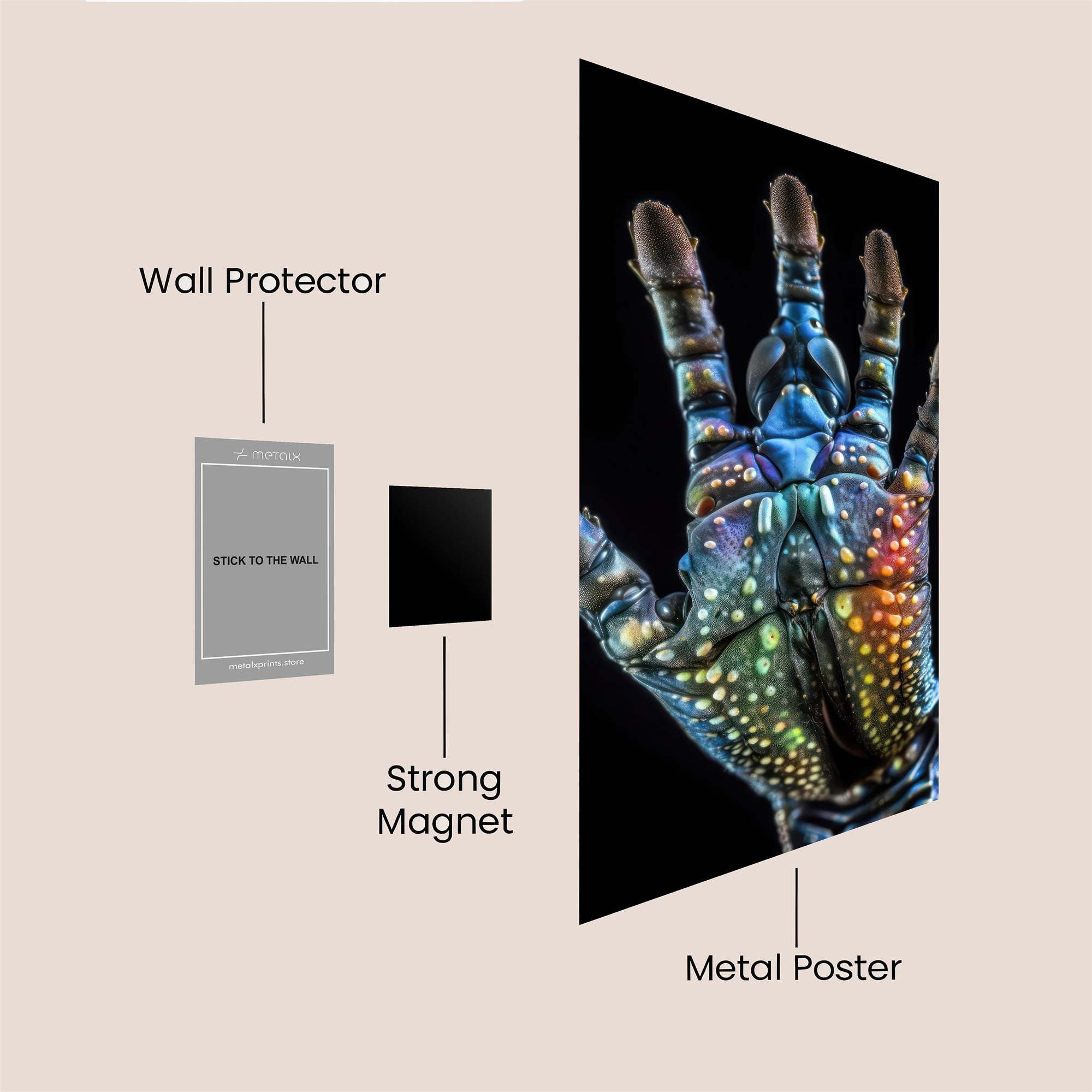 Crab Radiance Safe Wall Magnetic / M